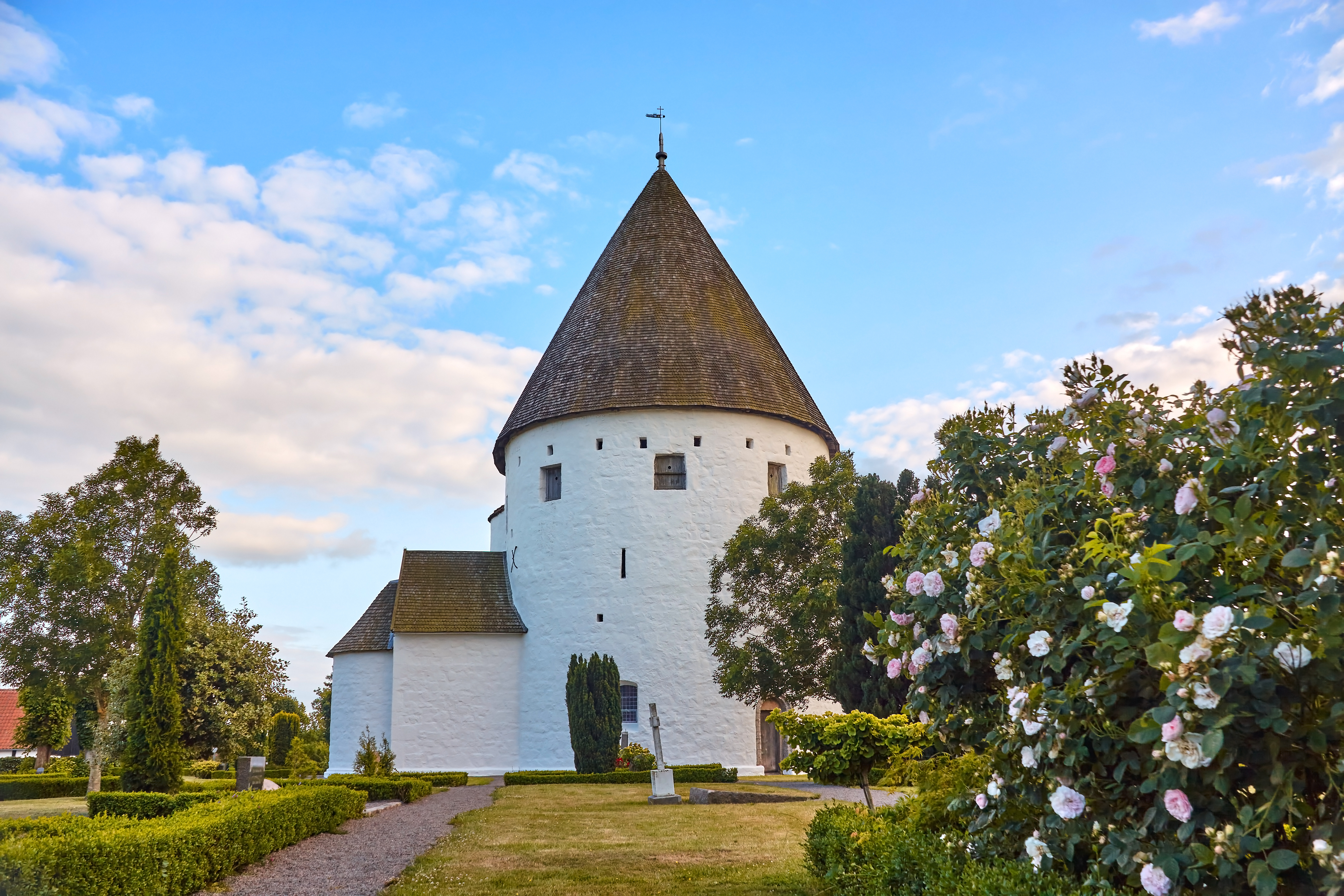 Olsker rundkirke på Bornholm med karakteristisk rundt tårn og blomstrende rosenhave