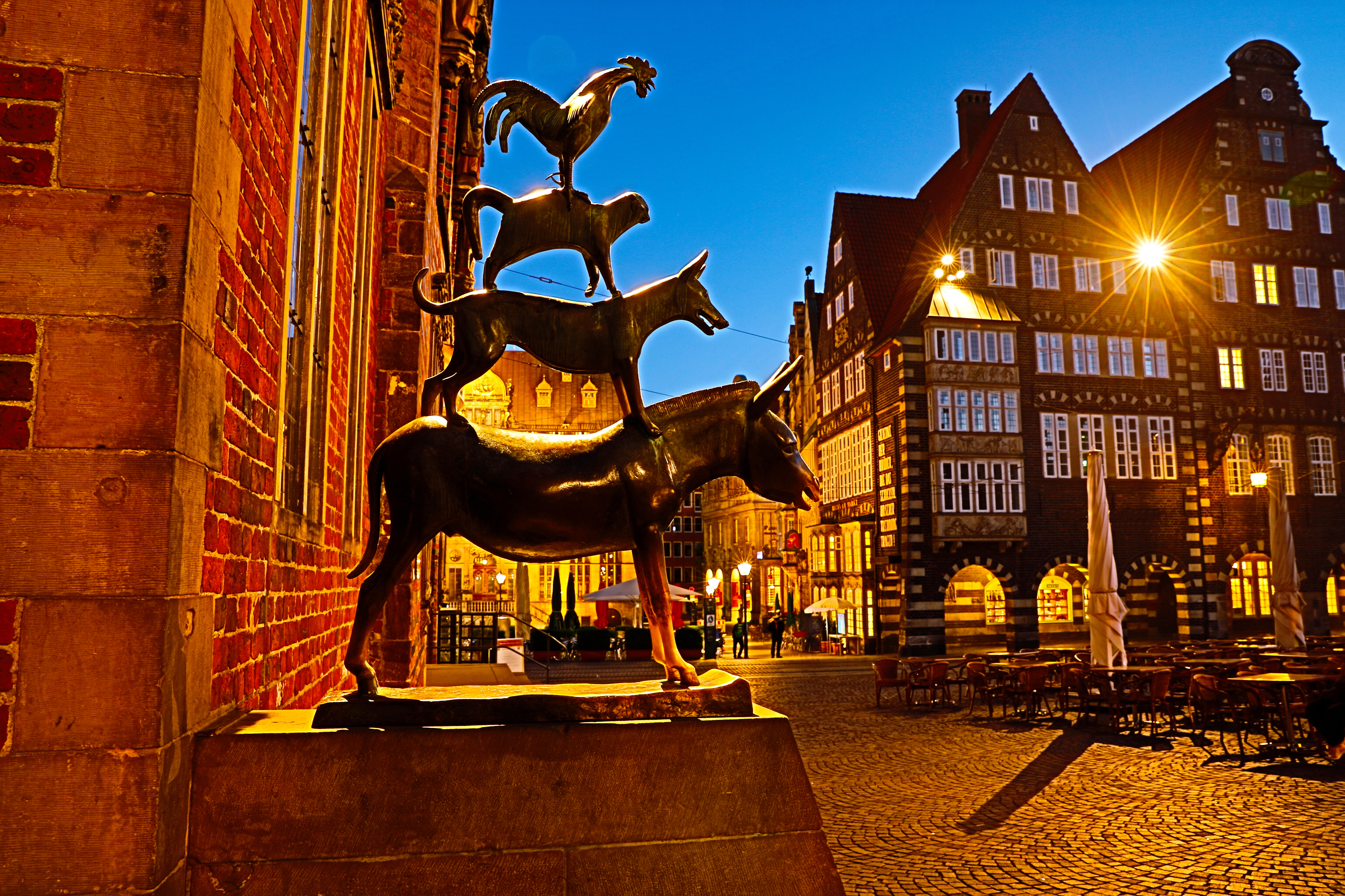 Bremer Bymusikanterne bronzestatue fotograferet ved aftentid med den historiske bykerne og bindingsværkshuse på markedspladsen i Bremen, Tyskland