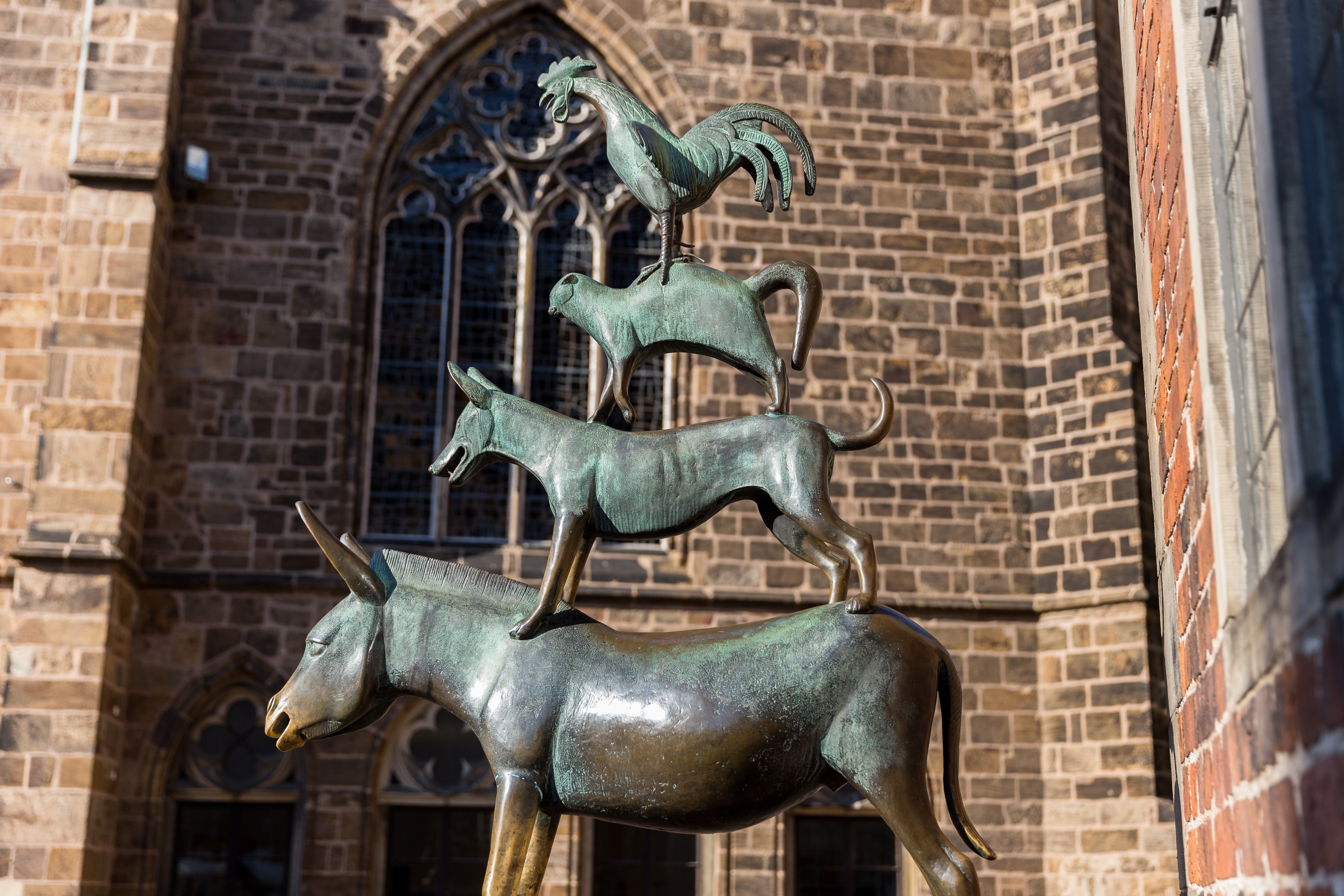 Det kendte Bremer Stadtmusikanten monument med fire bronzedyr stablet ovenpå hinanden foran historisk kirke i Bremen, Niedersachsen