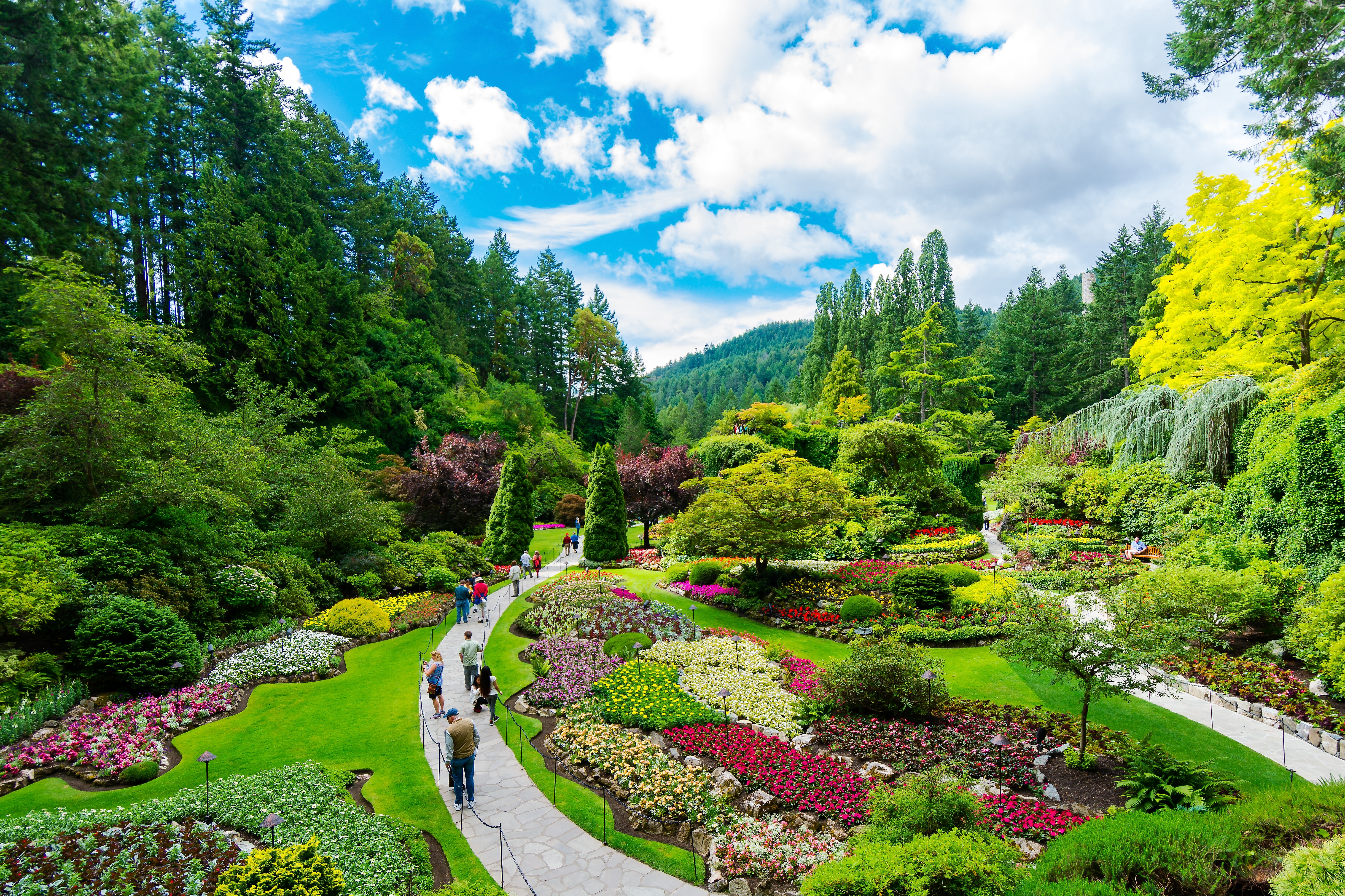 Ikoniske Butchart Gardens i British Columbia som populært rejsemål med eksotiske blomster og naturskønne stier