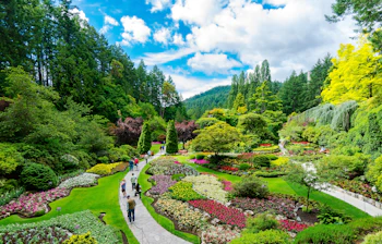 Ikoniske Butchart Gardens i British Columbia som populært rejsemål med eksotiske blomster og naturskønne stier