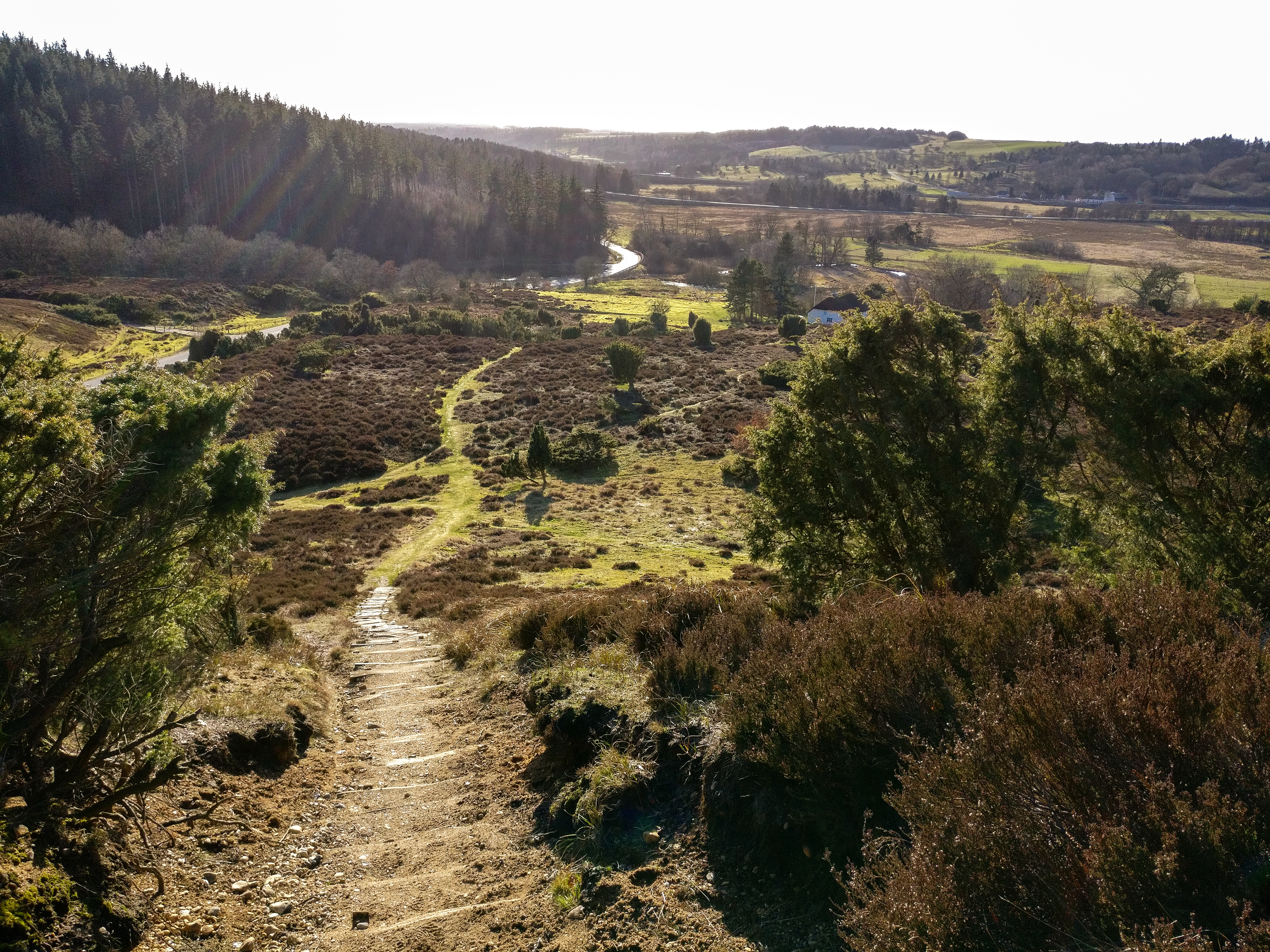 Karakteristisk britisk hedelandskab med naturstier gennem bakkede terræn
