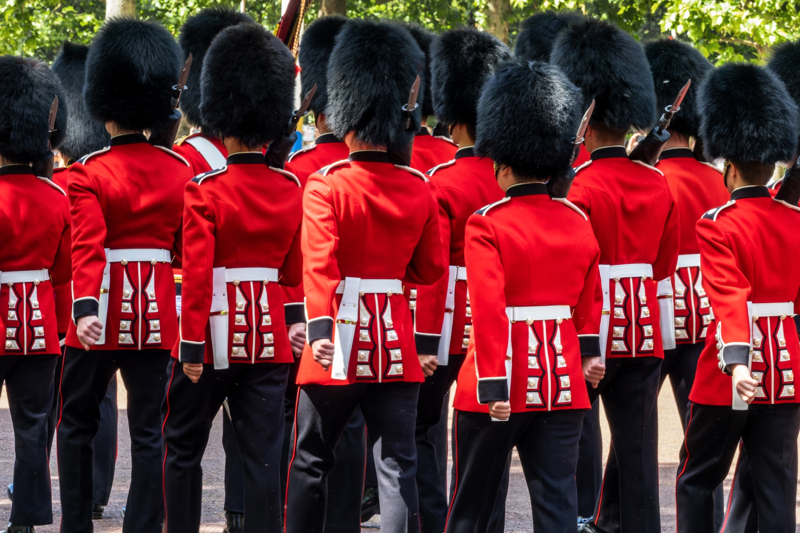 Nærbillede af britiske kongelige garder i traditionelle røde uniformer og sorte bjørneskindshuer under vagtskiftet i London