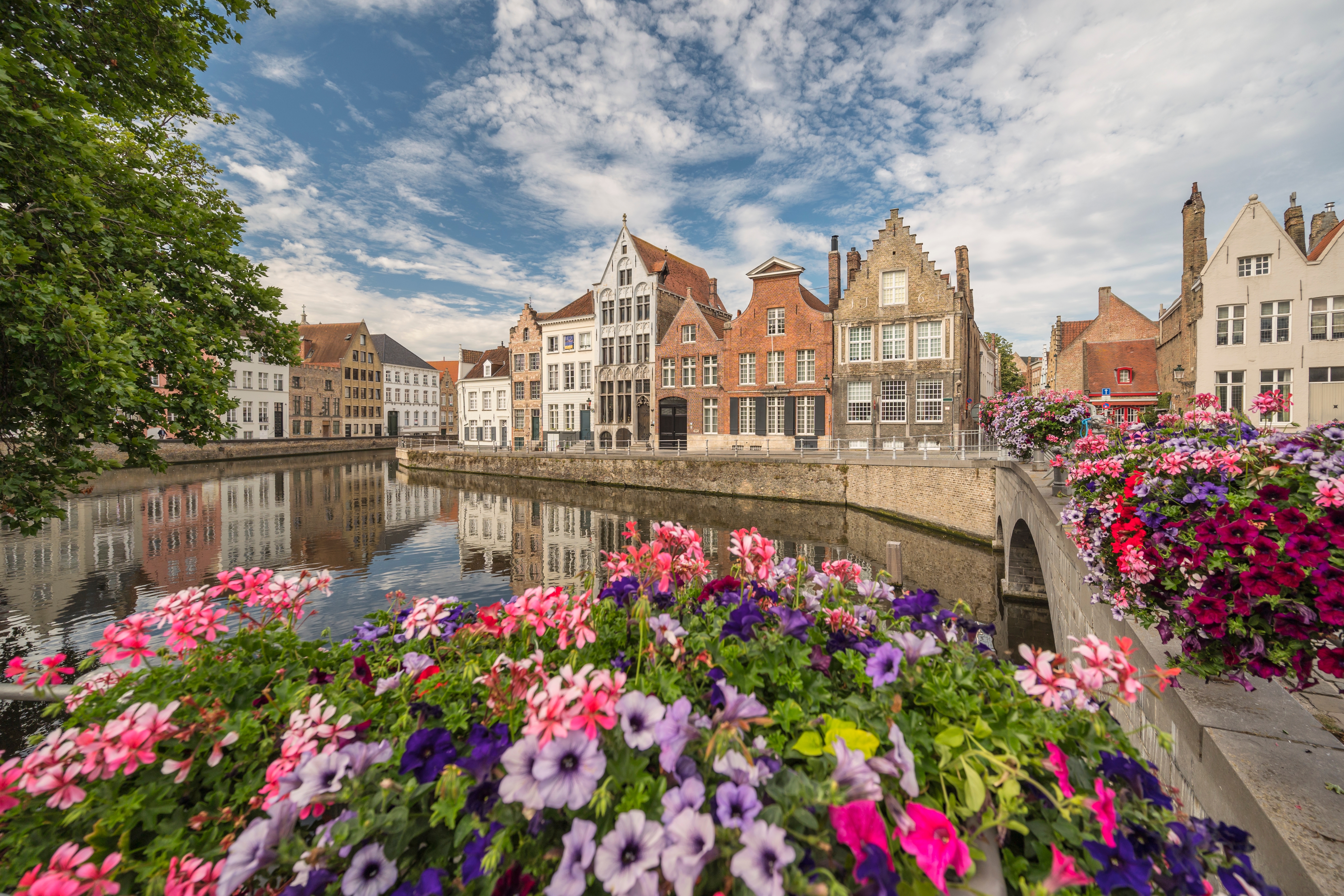 Charmerende kanal i Brügge med farverige blomster og traditionel flamsk arkitektur