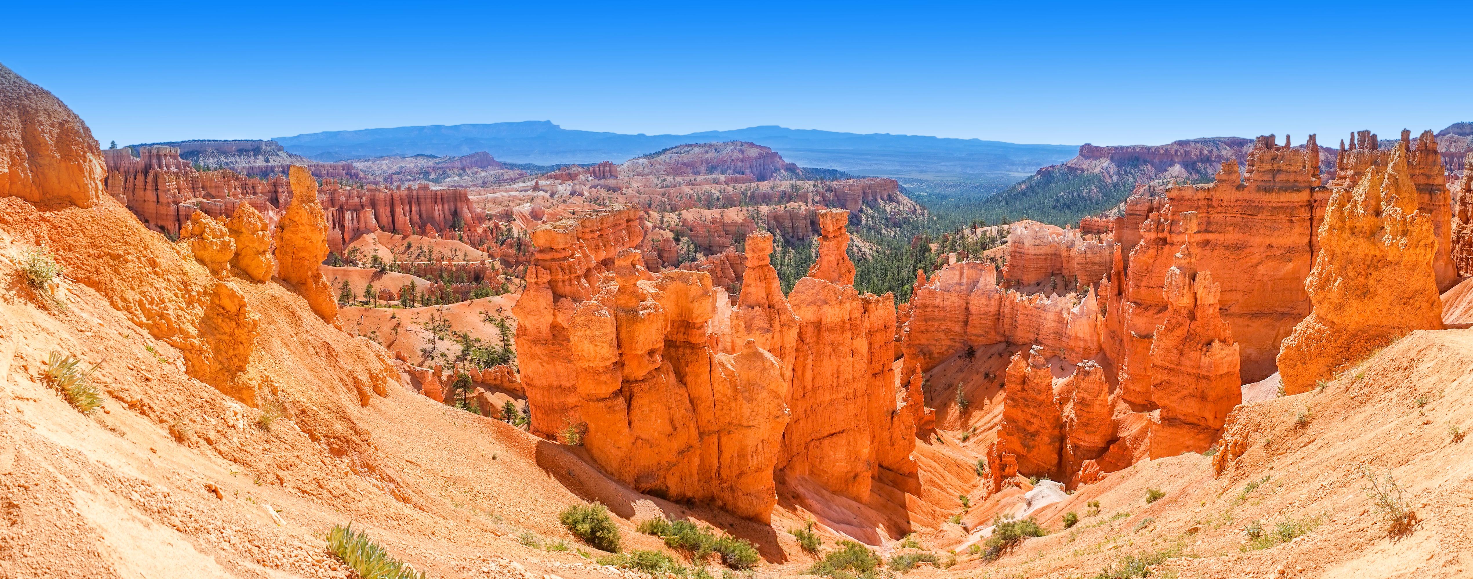 Majestætisk panoramaudsigt over Bryce Canyon med karakteristiske røde klippeformationer i Utah