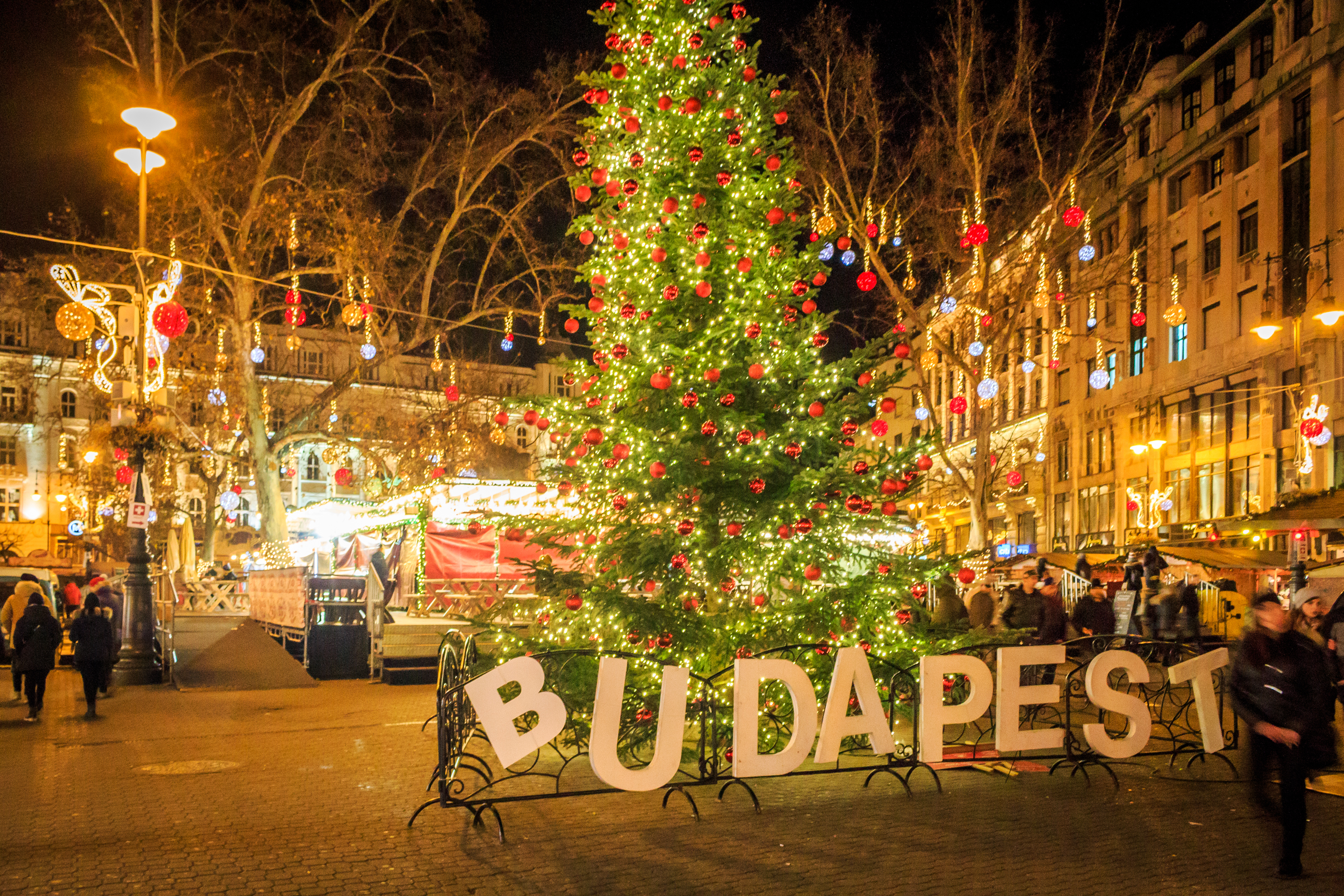 Imponerende juletræ med tusindvis af lys og dekorationer på Budapest torv om natten