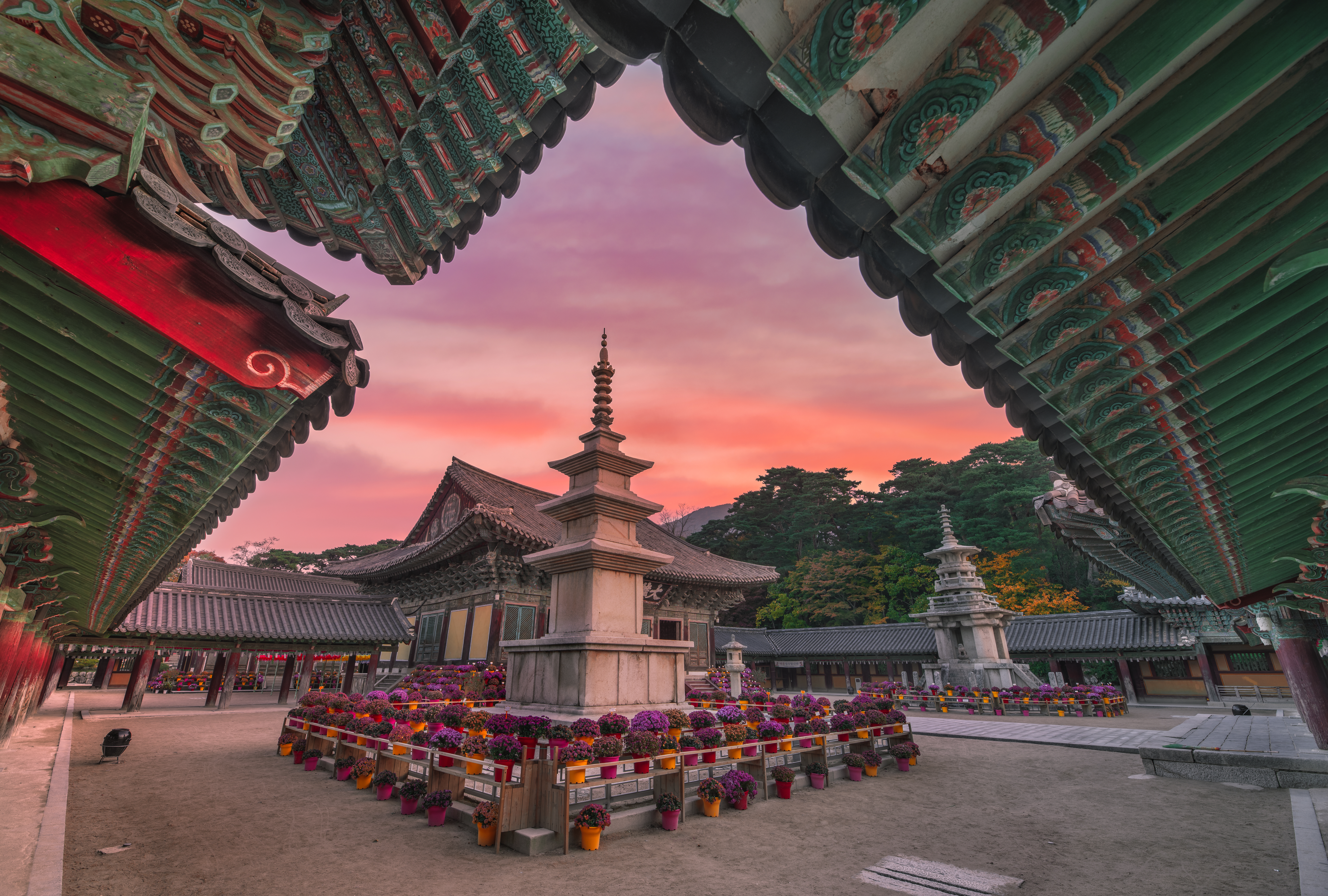 Spektakulære efterårsfarver ved det berømte Bulguksa buddhistiske tempel i Gyeongju, Sydkorea, hvor de gyldne og røde blade skaber en magisk kontrast til den traditionelle tempelarkitektur