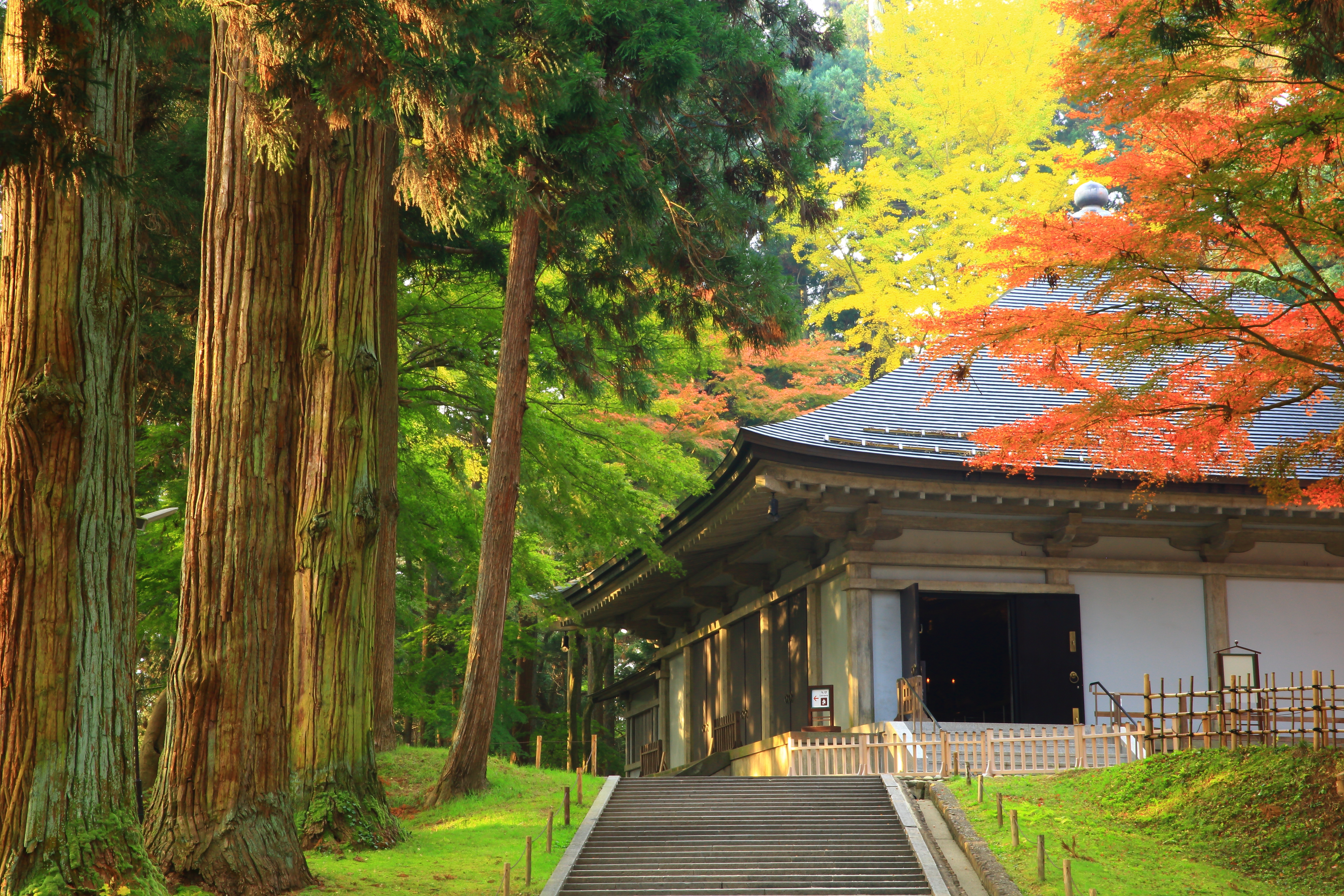 Buddhistisk tempel i Hiraizumi, Japan, med farverige efterårsblade i rødt og guld – Chūson-ji er et af Japans ældste og mest bevarede verdensarvssteder