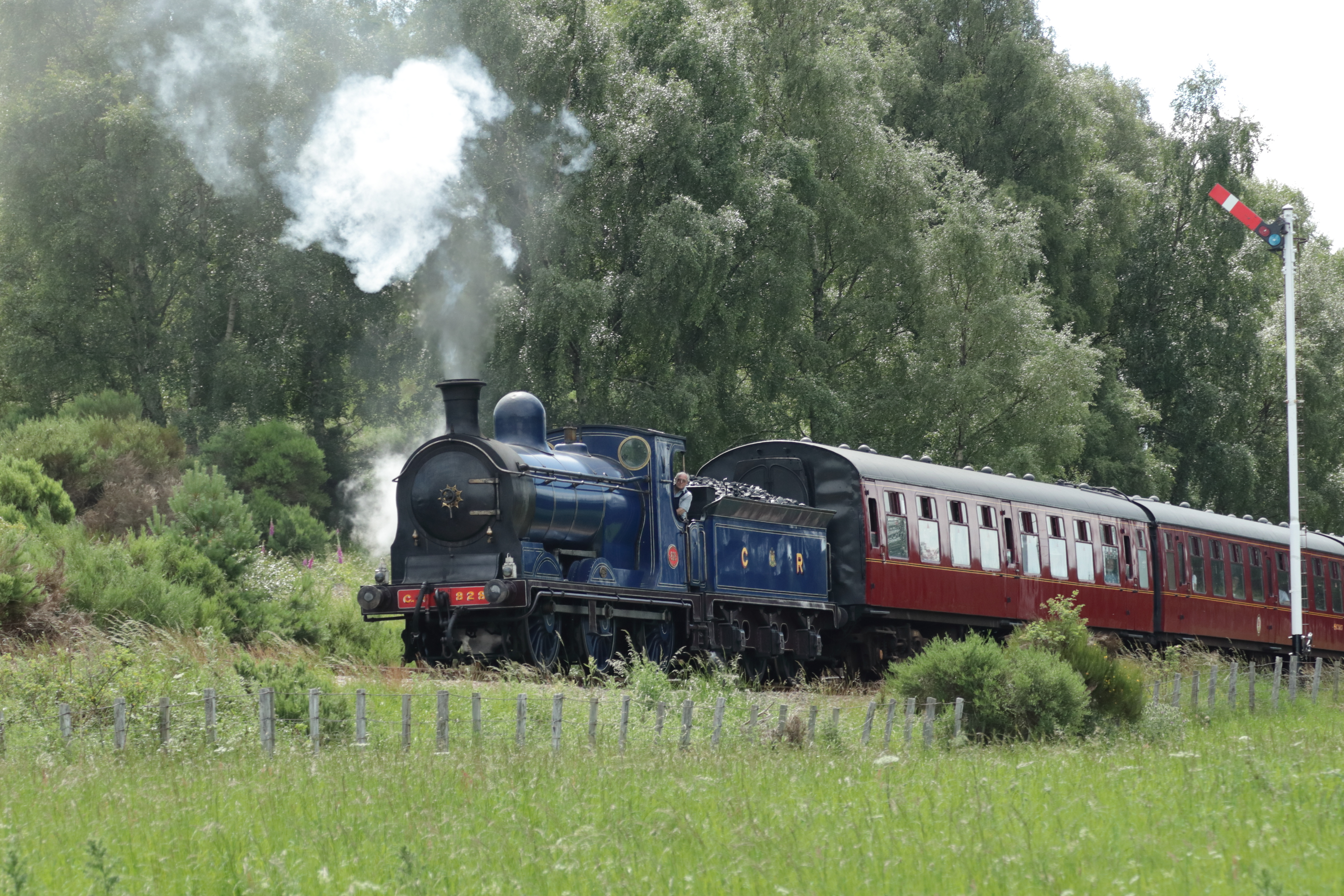Retronostalgisk blåt Caledonian Railway damplokomotiv med røde vogne og hvid damp i det skotske højland