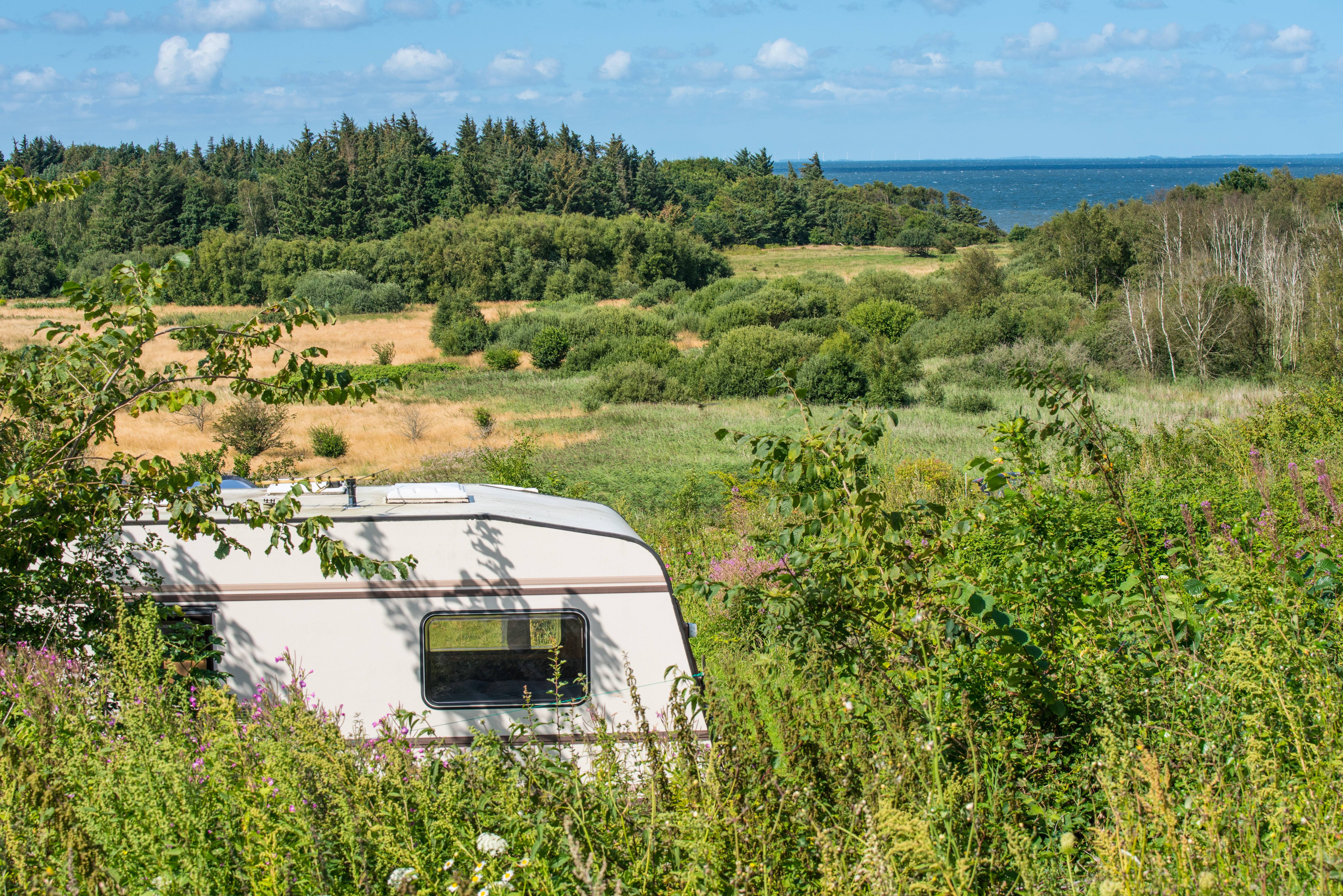 Fredfyldt campingoplevelse med hvid campingvogn i naturskønt område ved Limfjorden, Danmark, omgivet af grøn vegetation og udsigt til havet