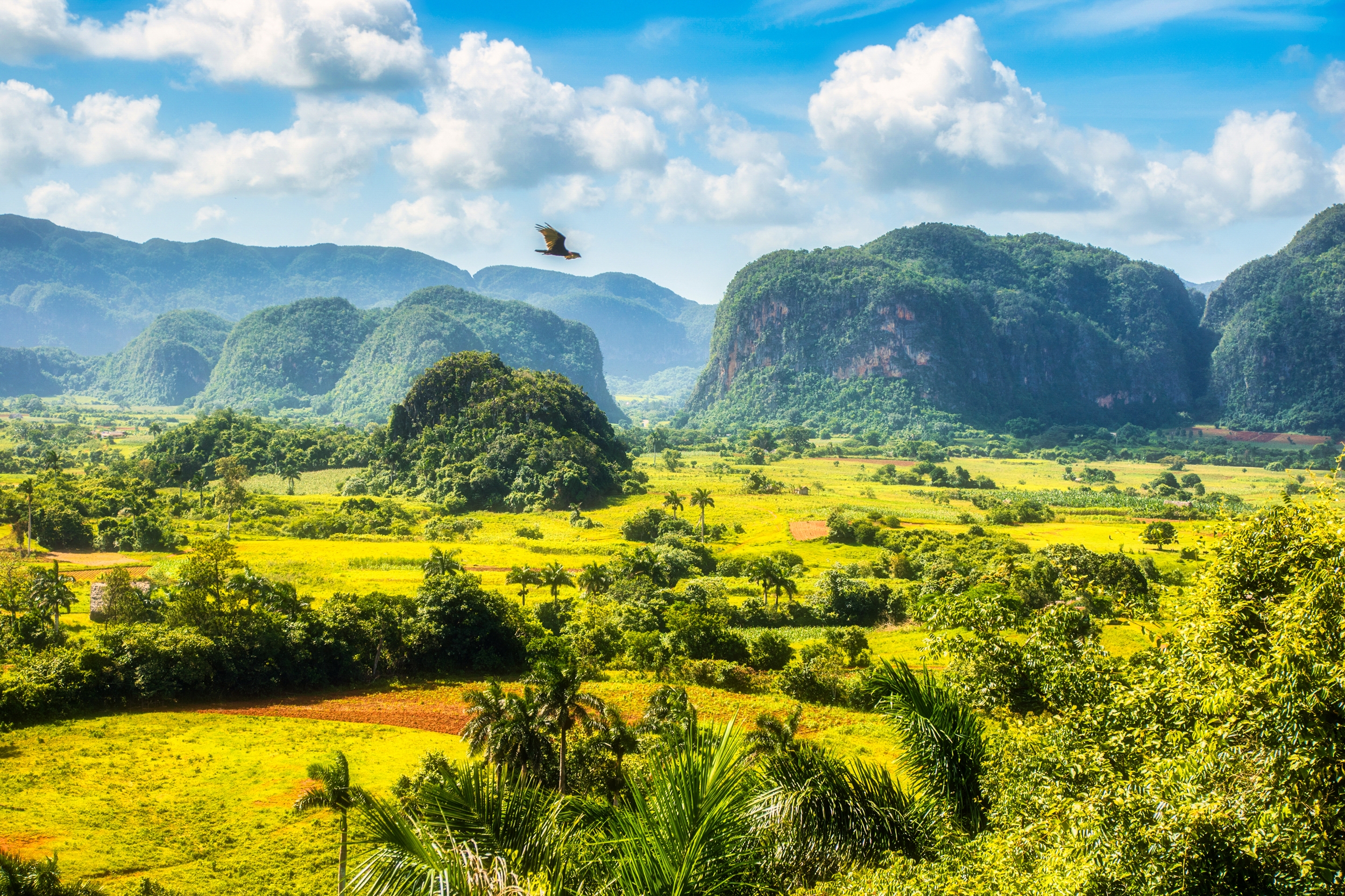 Tropisk paradis i Viñales nationalpark Cuba med kalkstens mogotes