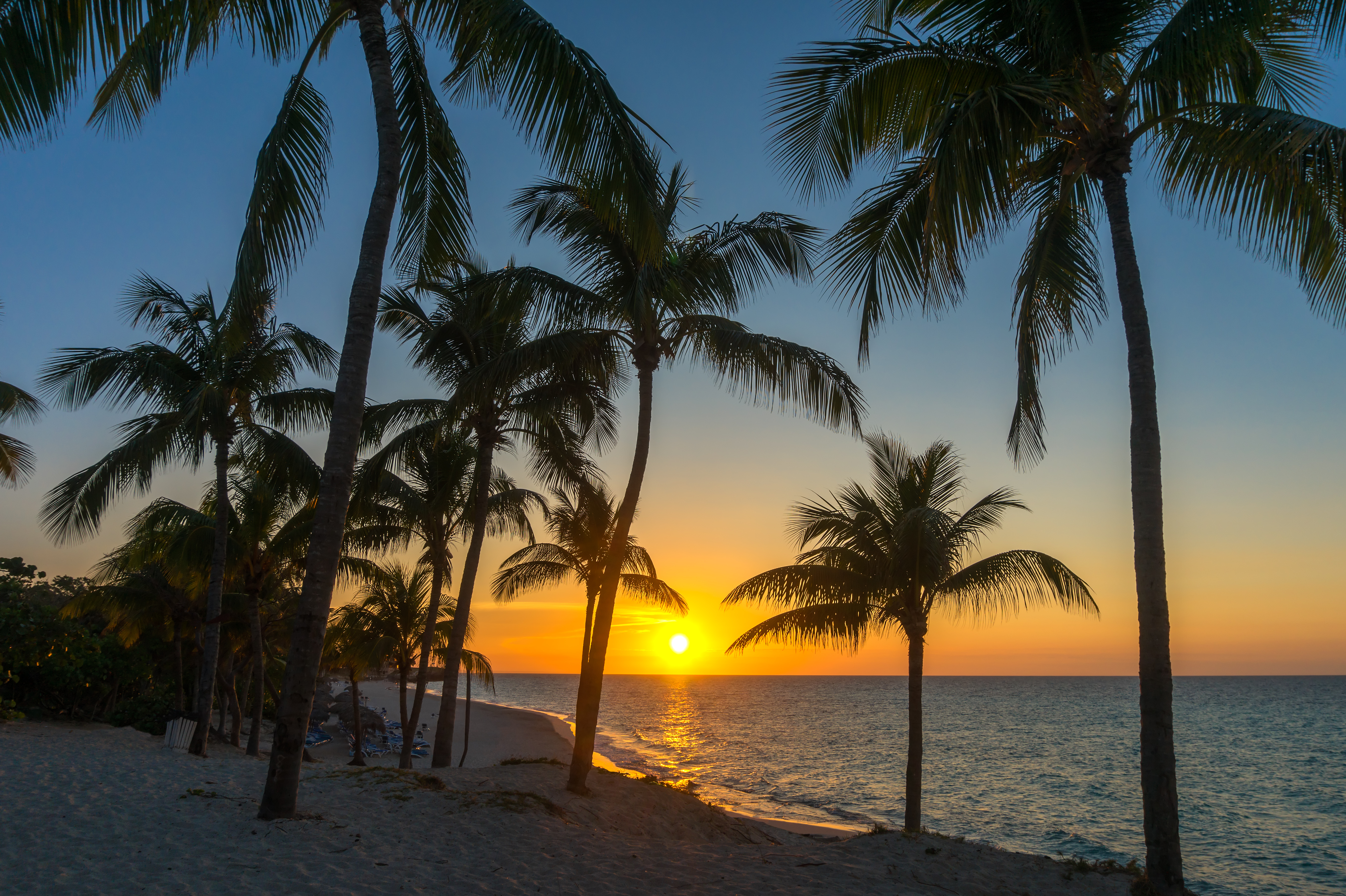 Gylden solnedgang på tropisk palmer strand i Varadero Cuba