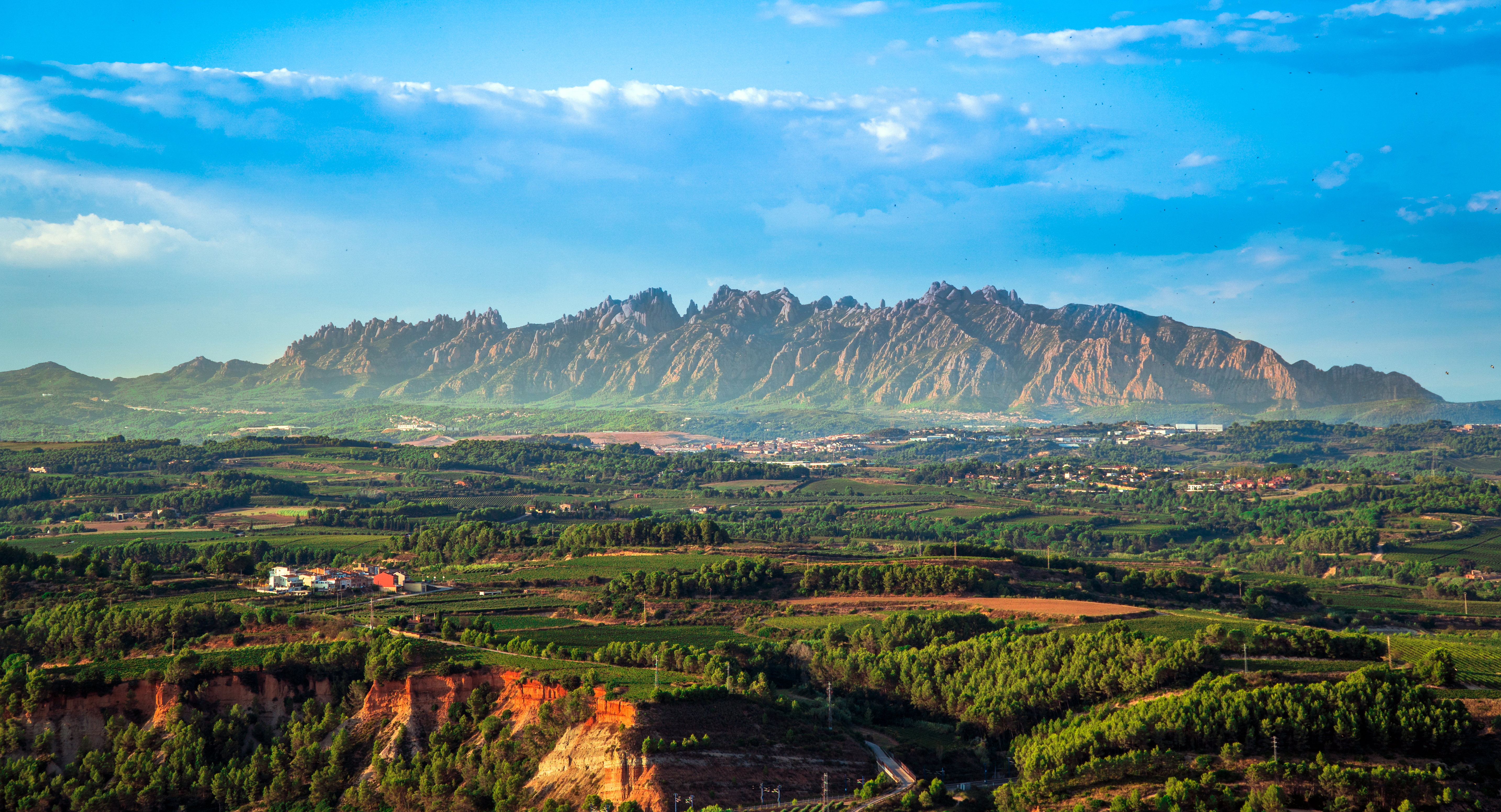 Udsigt over det smukke katalanske landskab med Montserrat-bjergene i baggrunden og grønne vinmarker i Penedès-dalen, Spanien