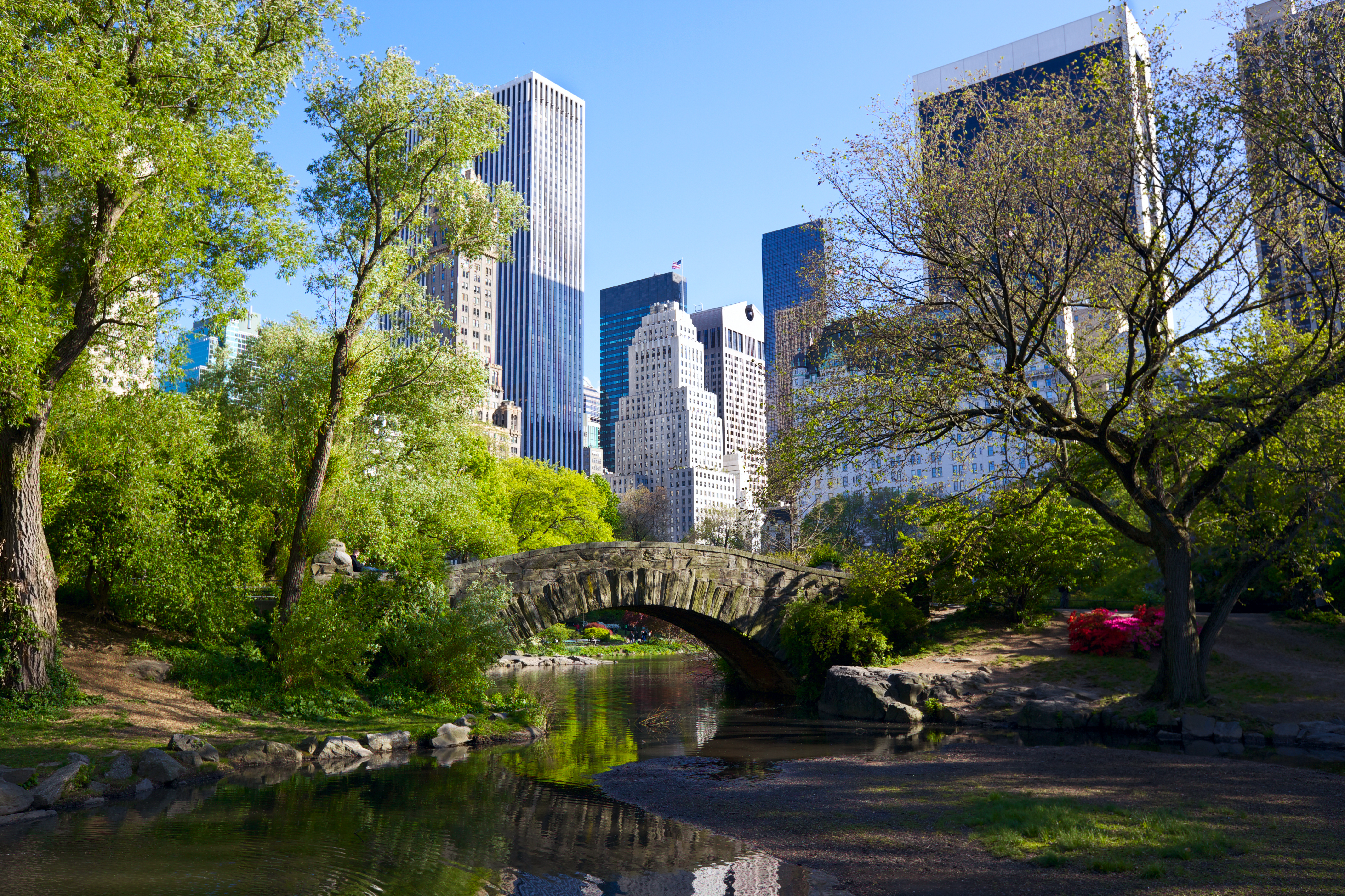 Grøn oase i Central Park med udsigt til Manhattan skyskrabere New York