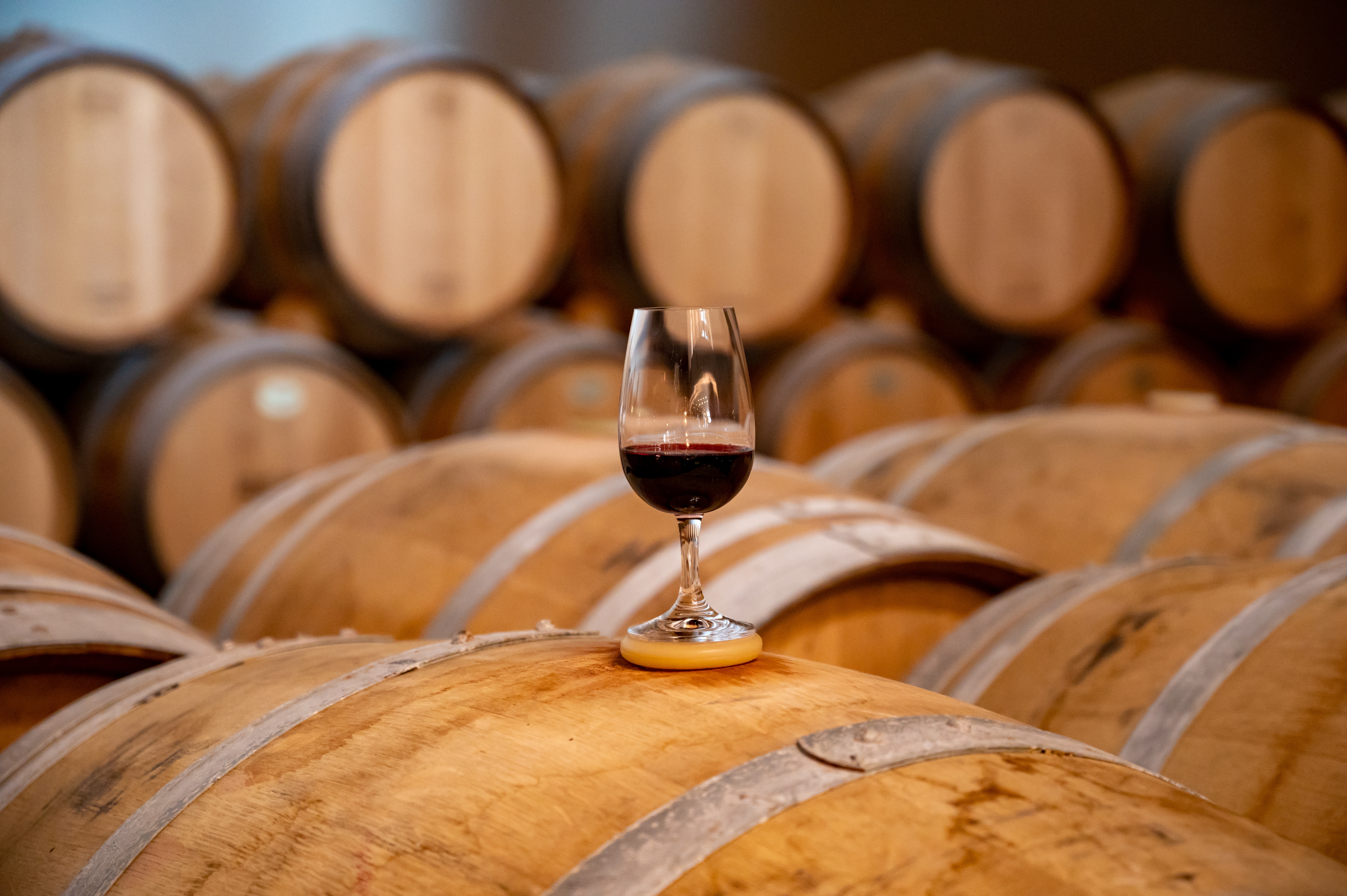 Vinoplevelse i traditionel fransk vinkælder med rødvin på træfade