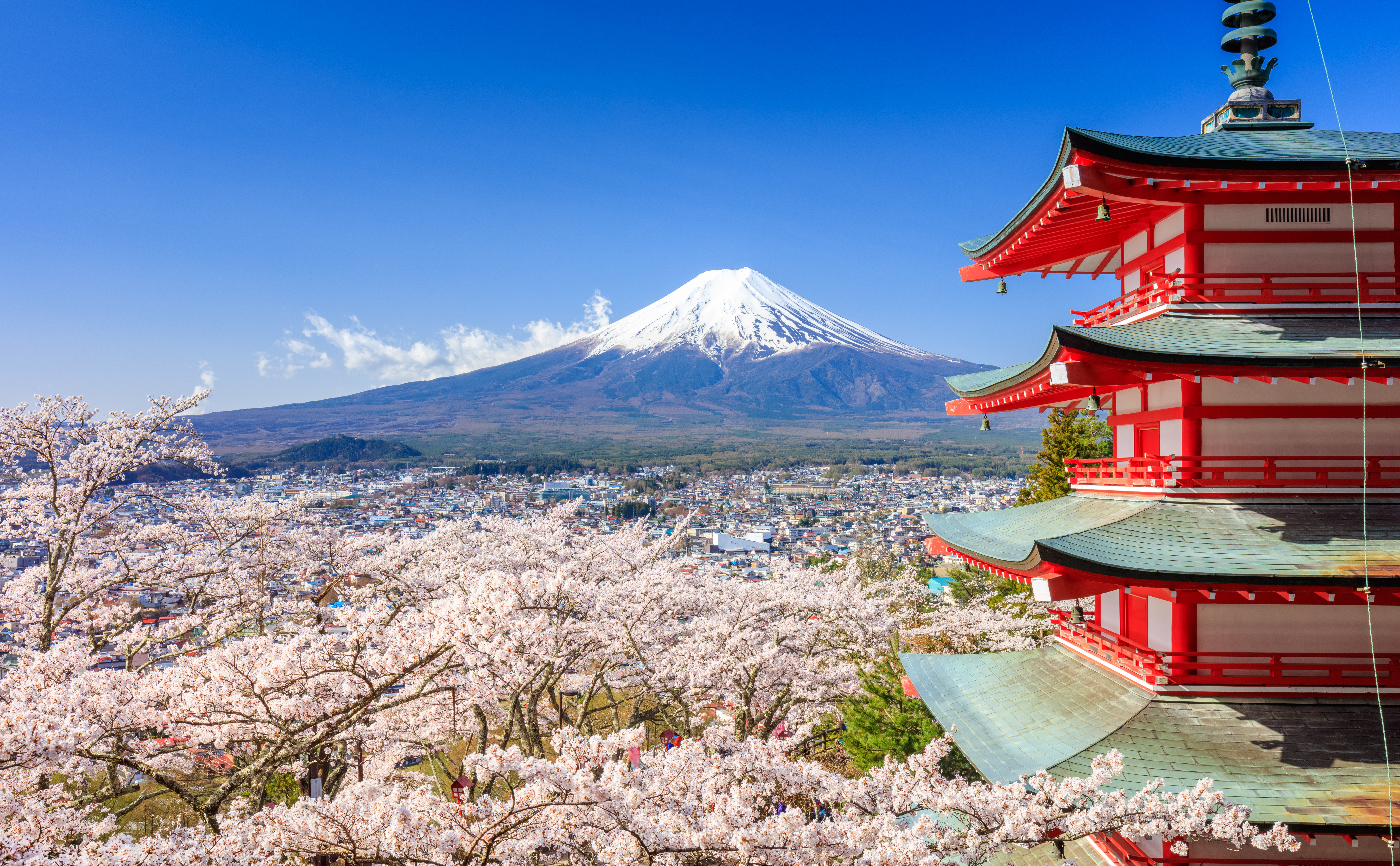Fascinerende japansk landskab med den ikoniske røde Chureito Pagoda i forgrunden, det majestætiske Mt. Fuji i baggrunden og blomstrende kirsebærtræer, der danner en rosa ramme om dette klassiske forårsmotiv fra Fujiyoshida