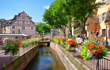 Hyggelig kanalscene i Colmar, Alsace med farverige blomster og traditionelle franske bindingsværkshuse langs vandvejen