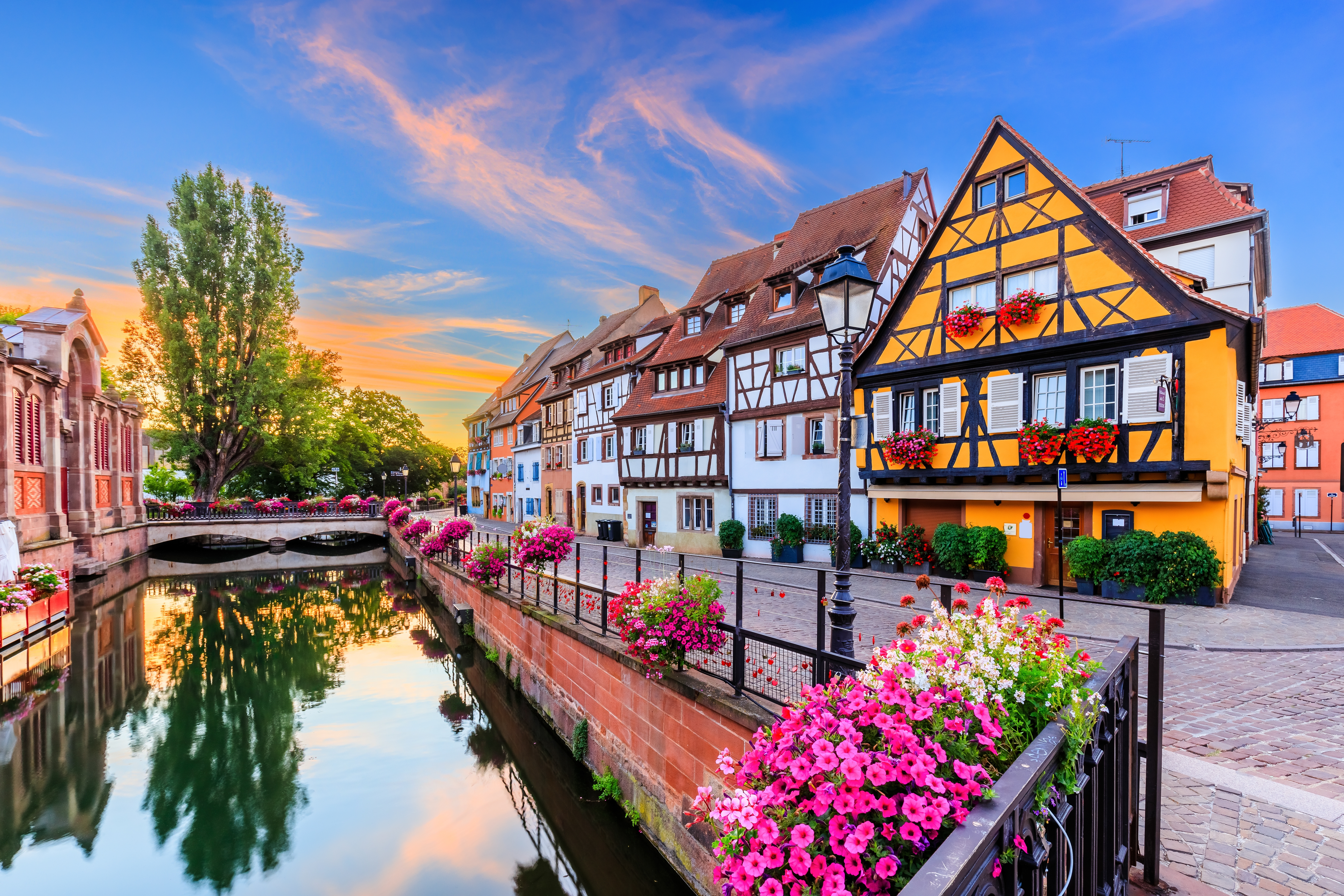Farverige bindingsværkshuse spejler sig i kanalen i Petite Venice i Colmar, Alsace, omgivet af smukke blomster og idyllisk stemning