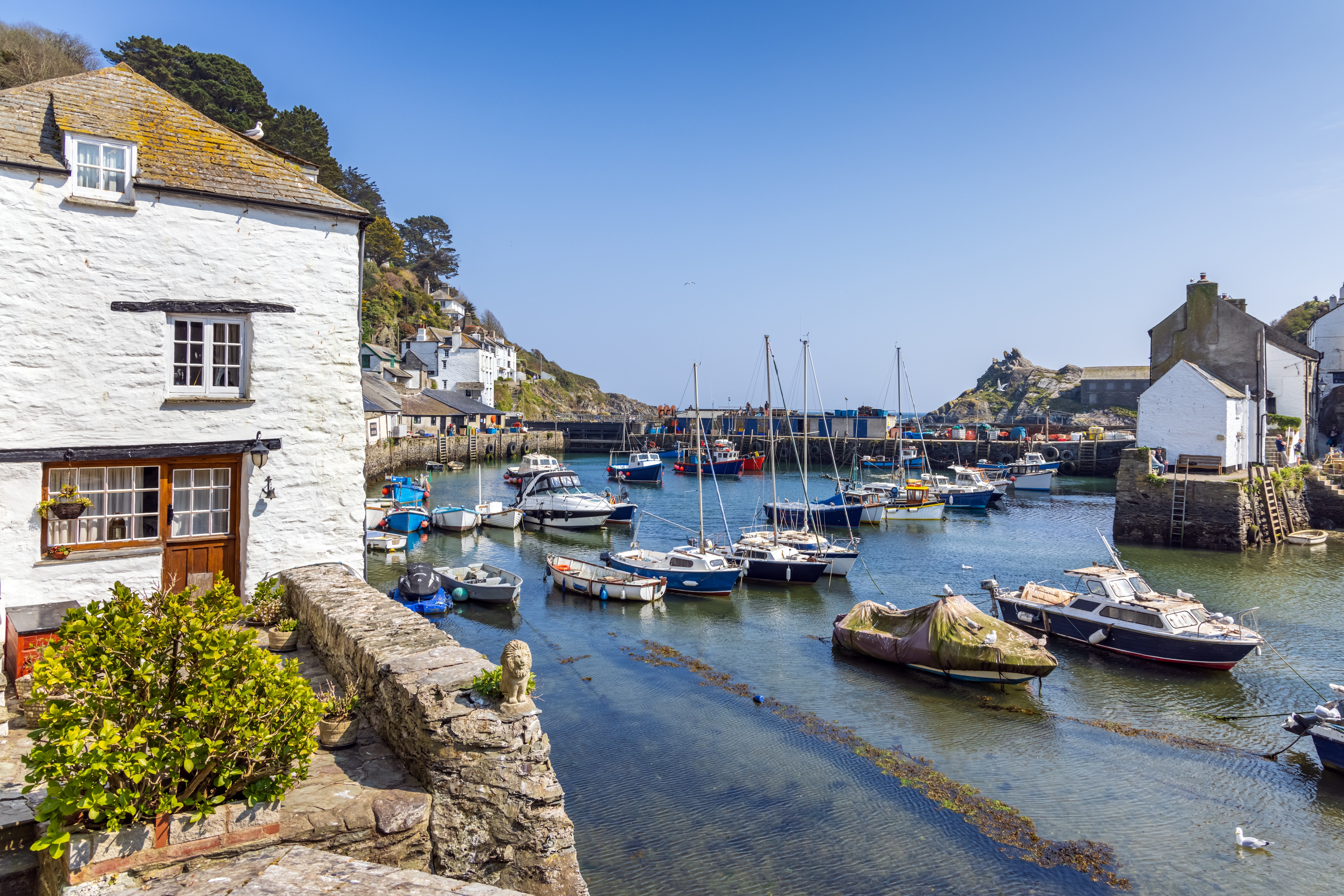 Stemningsfuld havneudsigt fra den pittoreske fiskerby Polperro i Cornwall med karakteristiske hvide huse og små både i den naturlige bugt