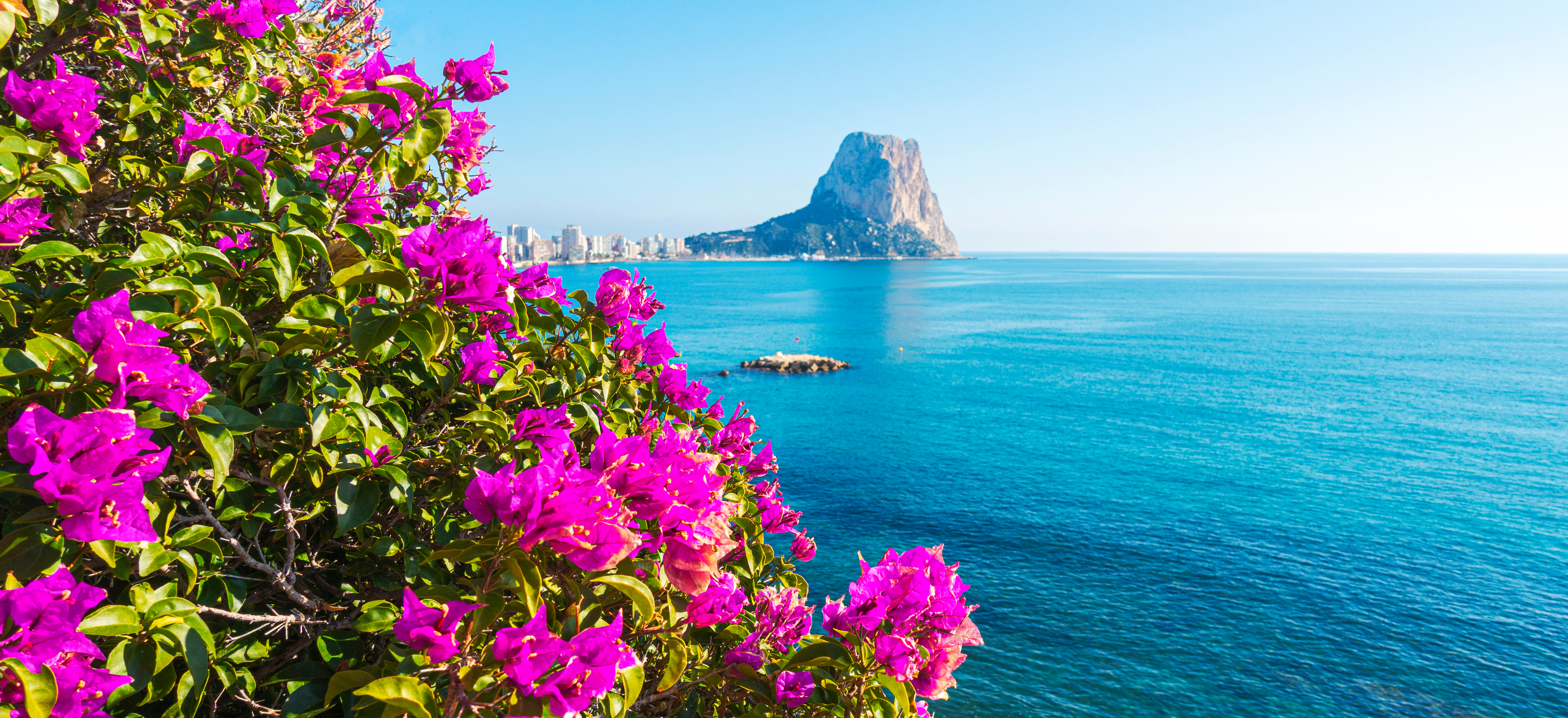 Idyllisk udsigt over Costa Blanca med den karakteristiske Penon de Ifach-klippe ved Calpe og det klare turkisblå Middelhav med pink blomster i forgrunden