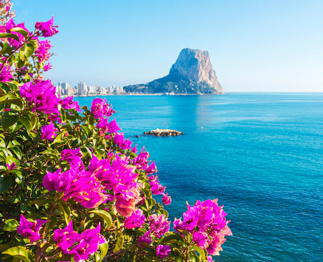 Idyllisk udsigt over Costa Blanca med den karakteristiske Penon de Ifach-klippe ved Calpe og det klare turkisblå Middelhav med pink blomster i forgrunden