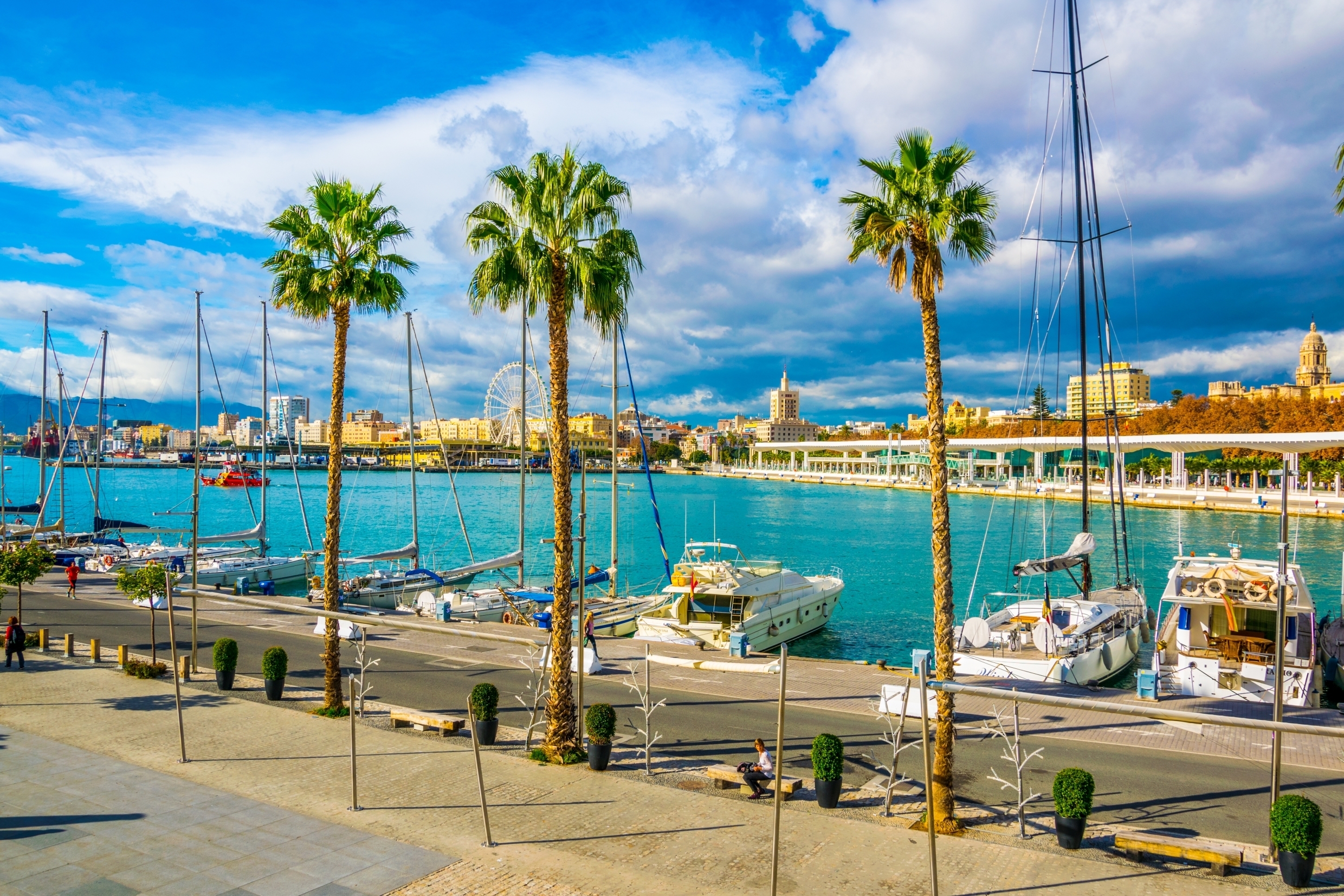 Farverig marina i Malaga med sejlbåde og palmer på Costa del Sol