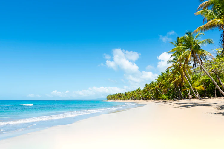 Cubansk strand med palmer og tyrkist vand - perfekt ferieparadis