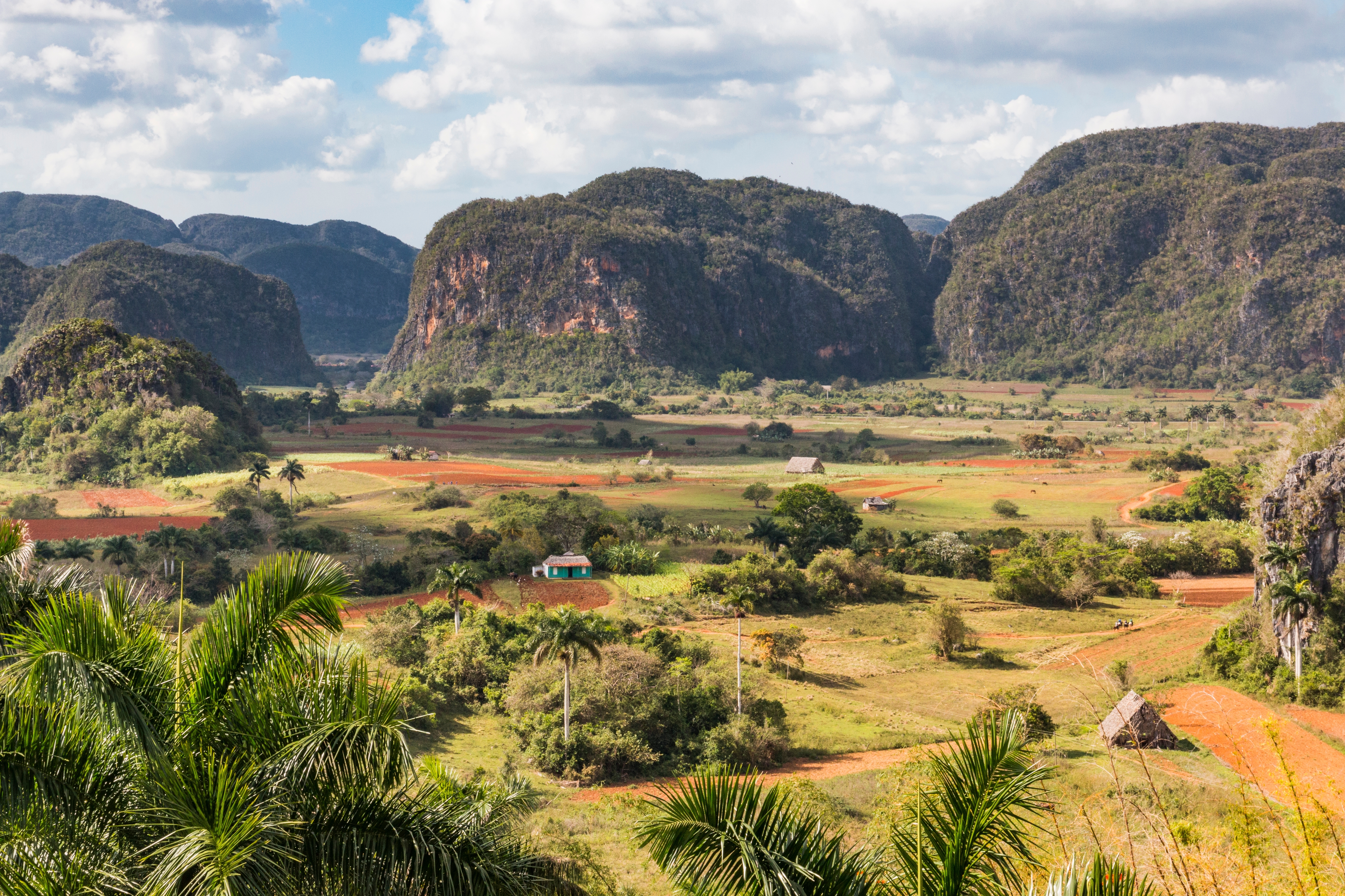 Vinales nationalpark Cuba med karakteristiske kalkstensbjergformationer og grøn dal