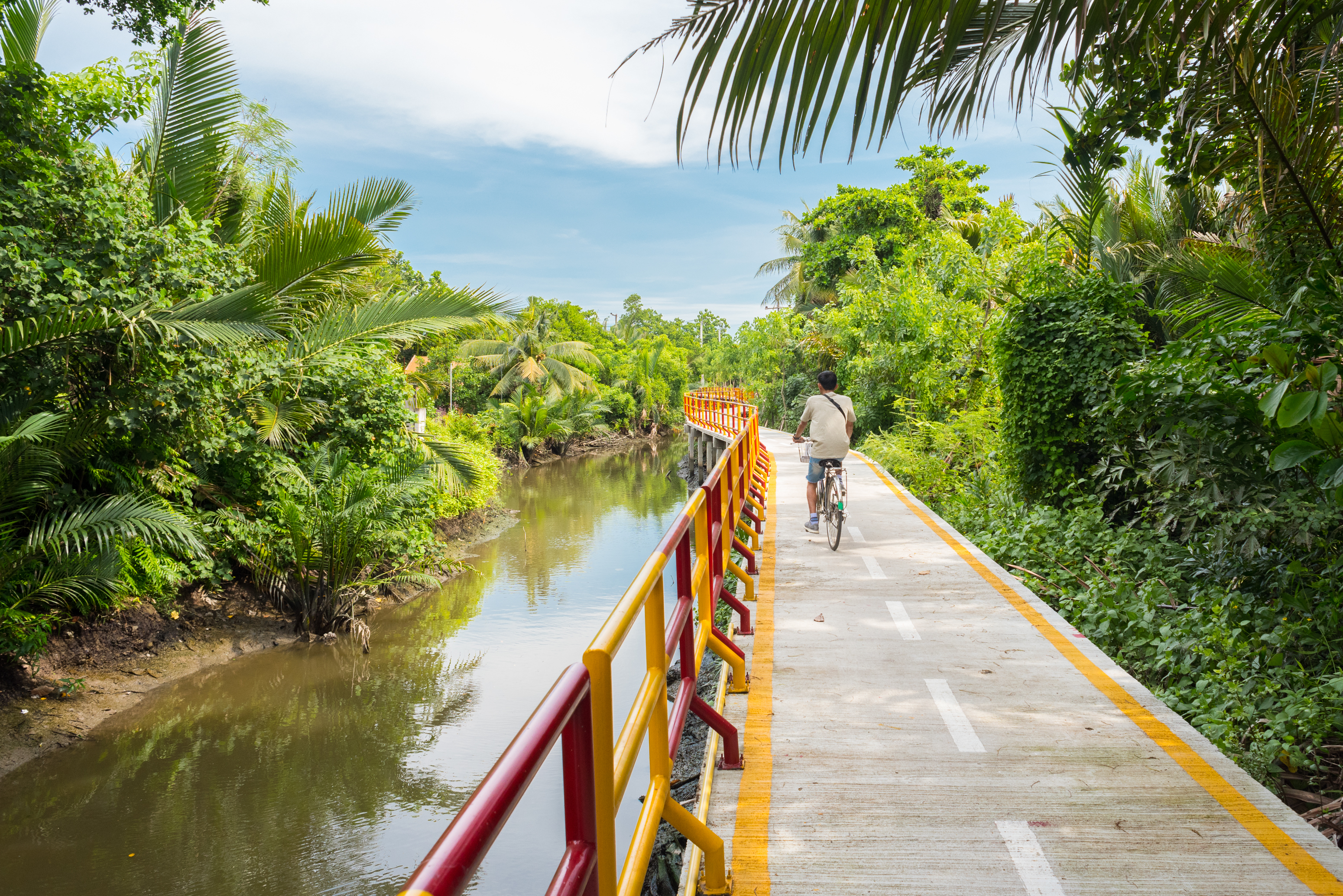 Mand cykler på bropassage langs kanal i den frodige Bang Krachao naturpark, kendt som Bangkoks grønne lunge i Thailand