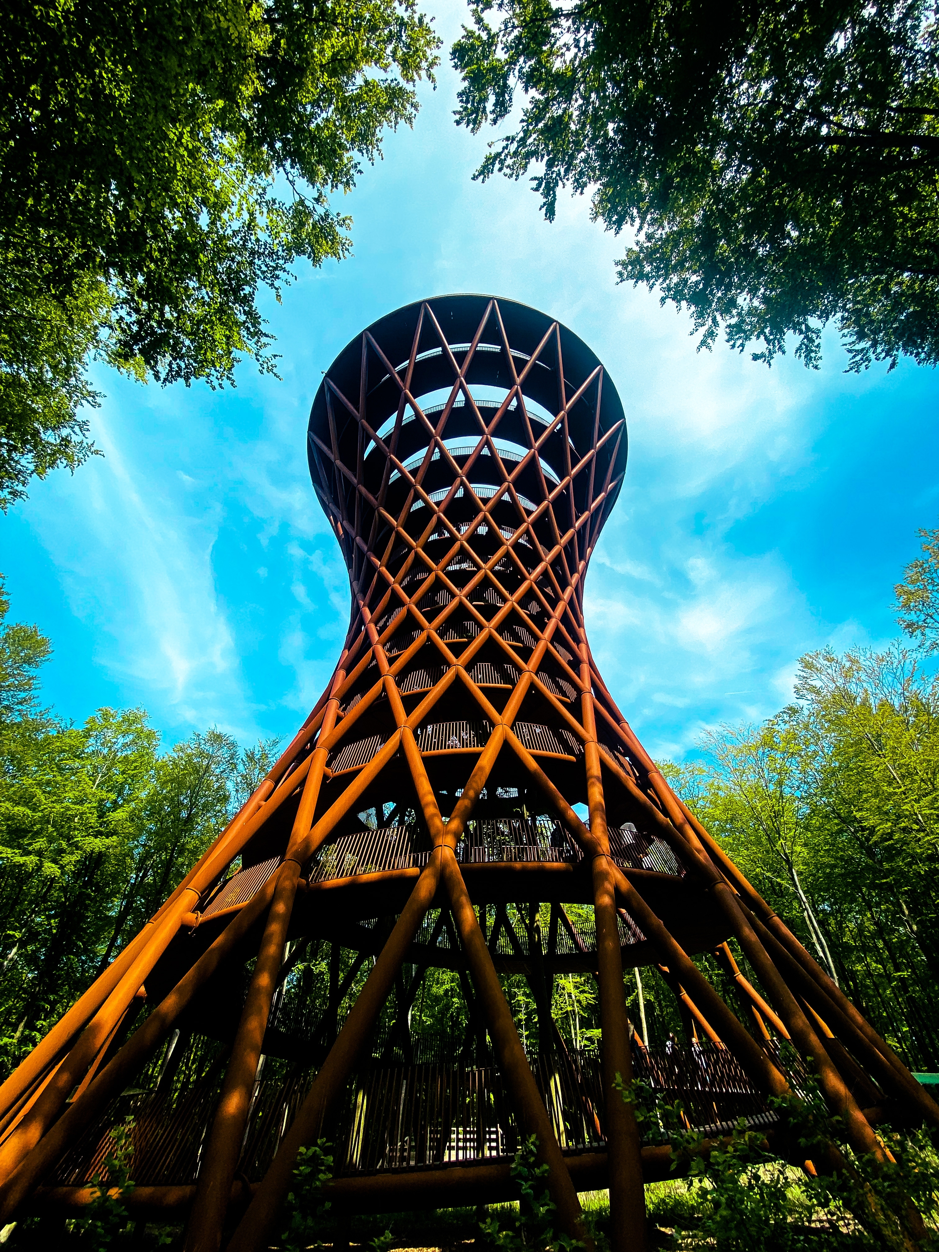 Dansk adventure park med ikonisk spiraltårn i grøn skov
