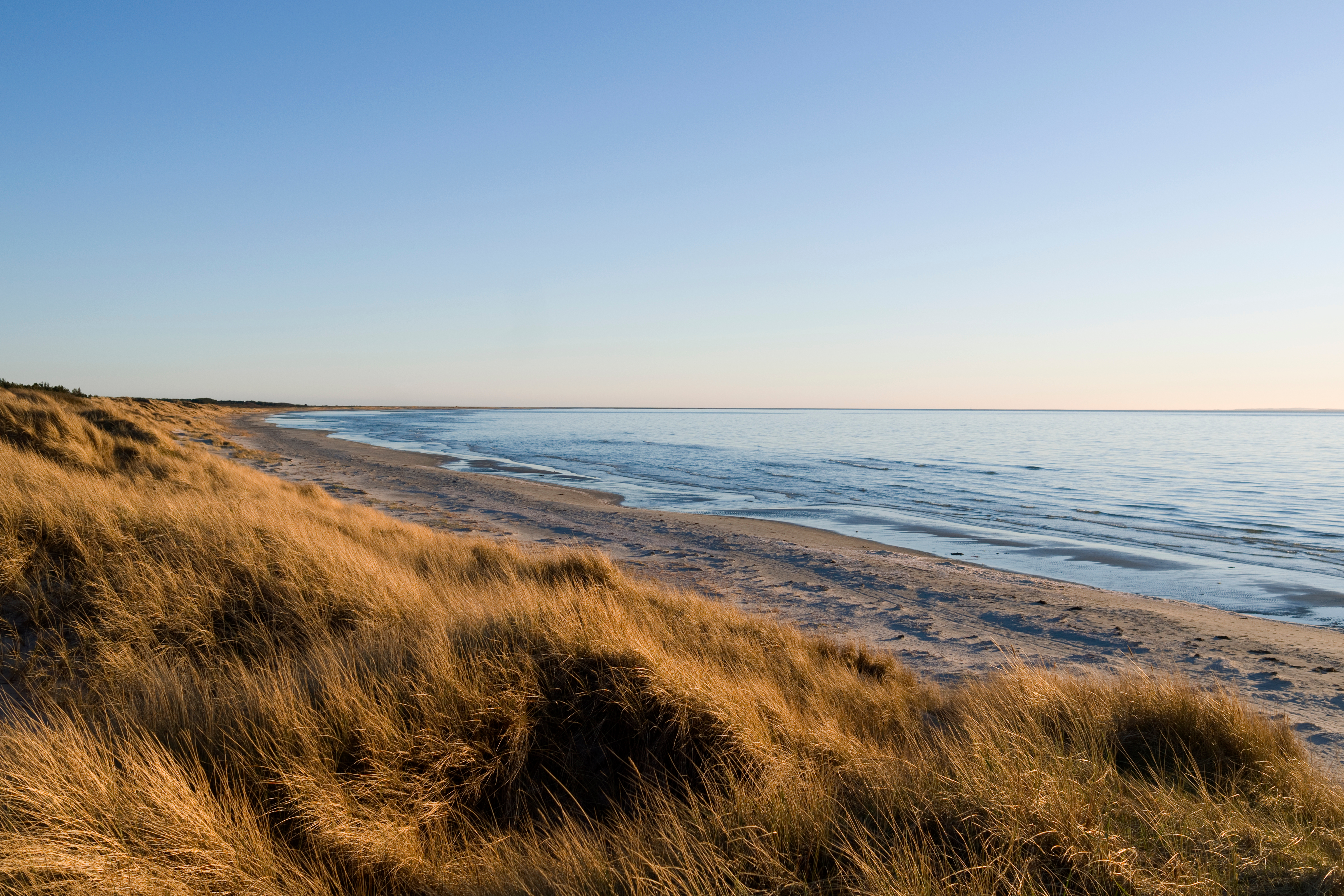 Dansk kystlandskab med sandklitter og udsigt over det Baltiske Hav