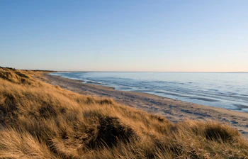 Dansk kystlandskab med sandklitter og udsigt over det Baltiske Hav