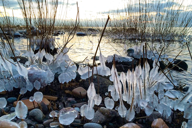 Naturens iskunst ved dansk strand med sten og tang
