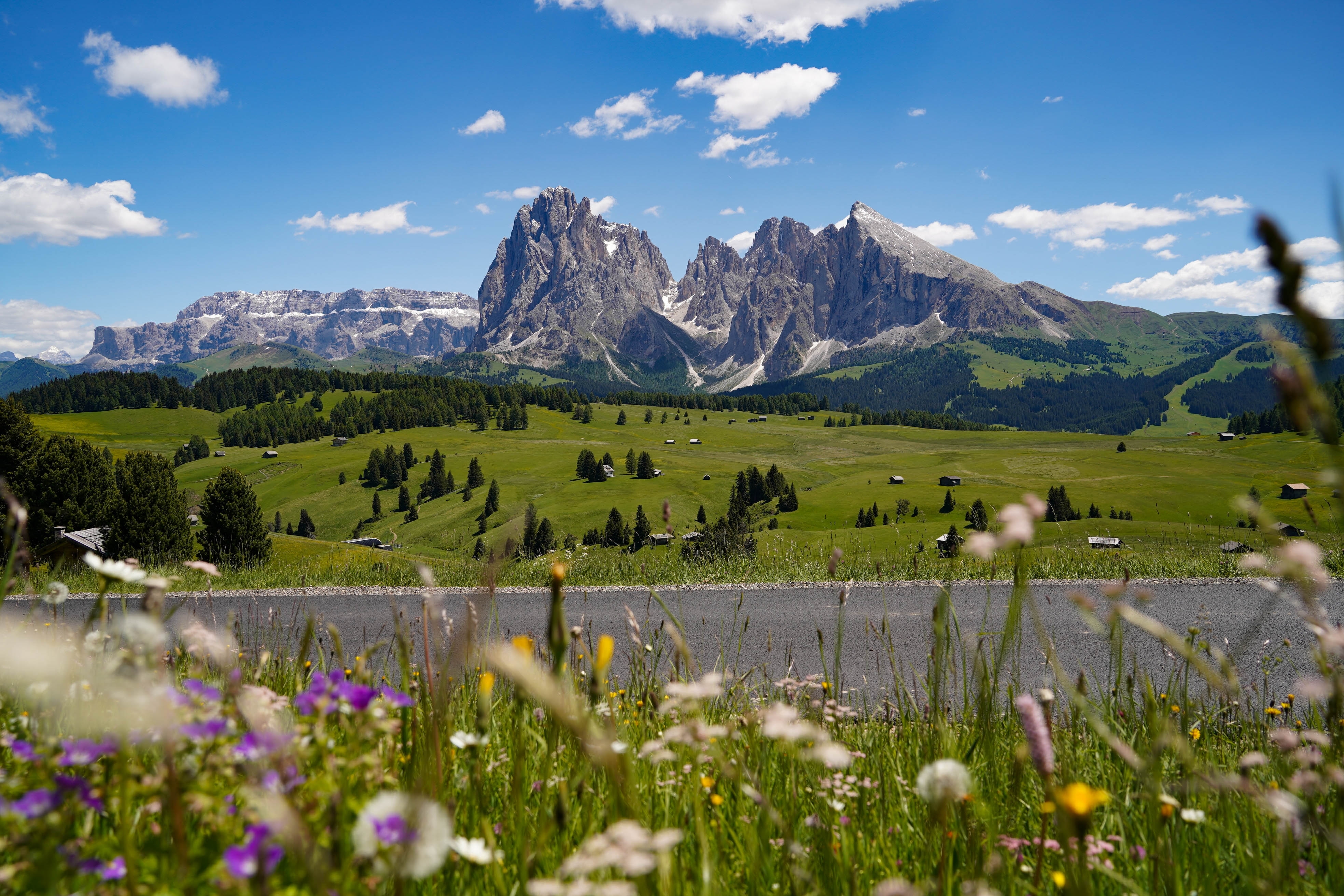 Fantastisk udsigt over Seiser Alms grønne alpenge med farverige vildblomster i forgrunden og de dramatiske Dolomit-bjerge bag ved