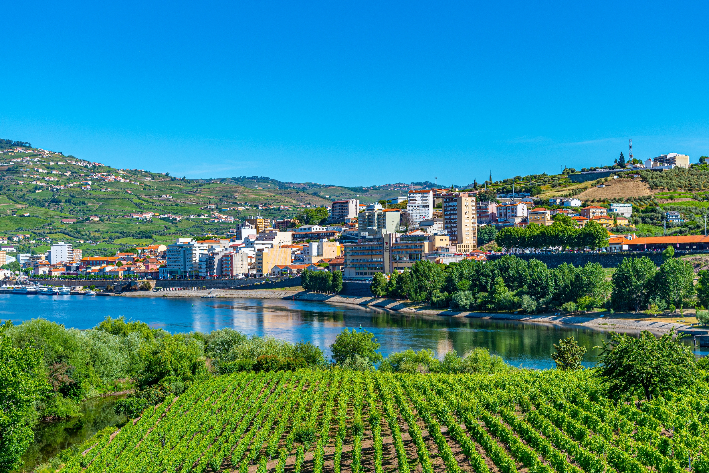 Panoramaudsigt over Peso da Régua og Douro-floden med terrasserede vingårde og blå himmel i Portugals Douro-dal