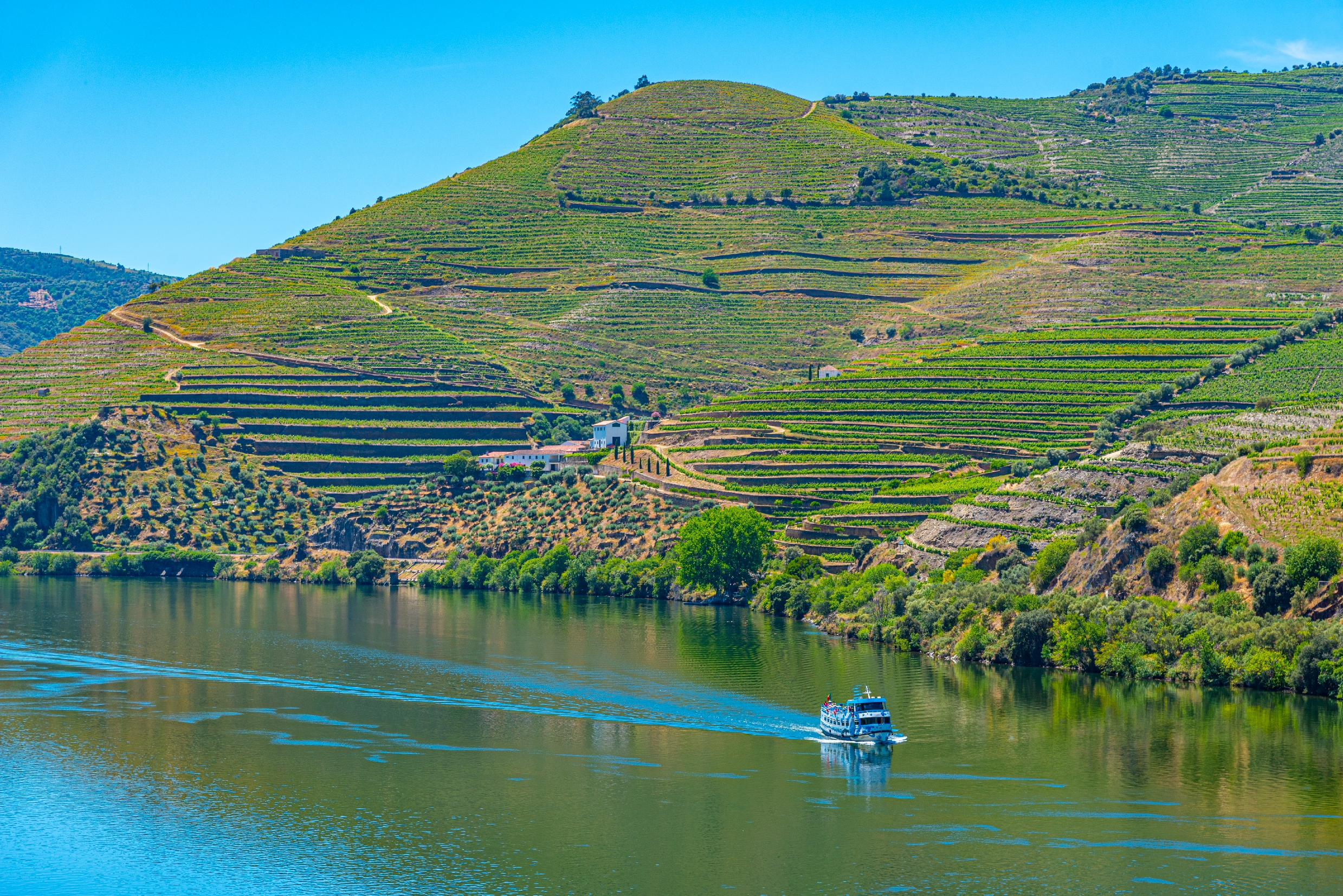 Krydstogtskib på Douro-floden omgivet af Portugals maleriske vinproduktionslandskab