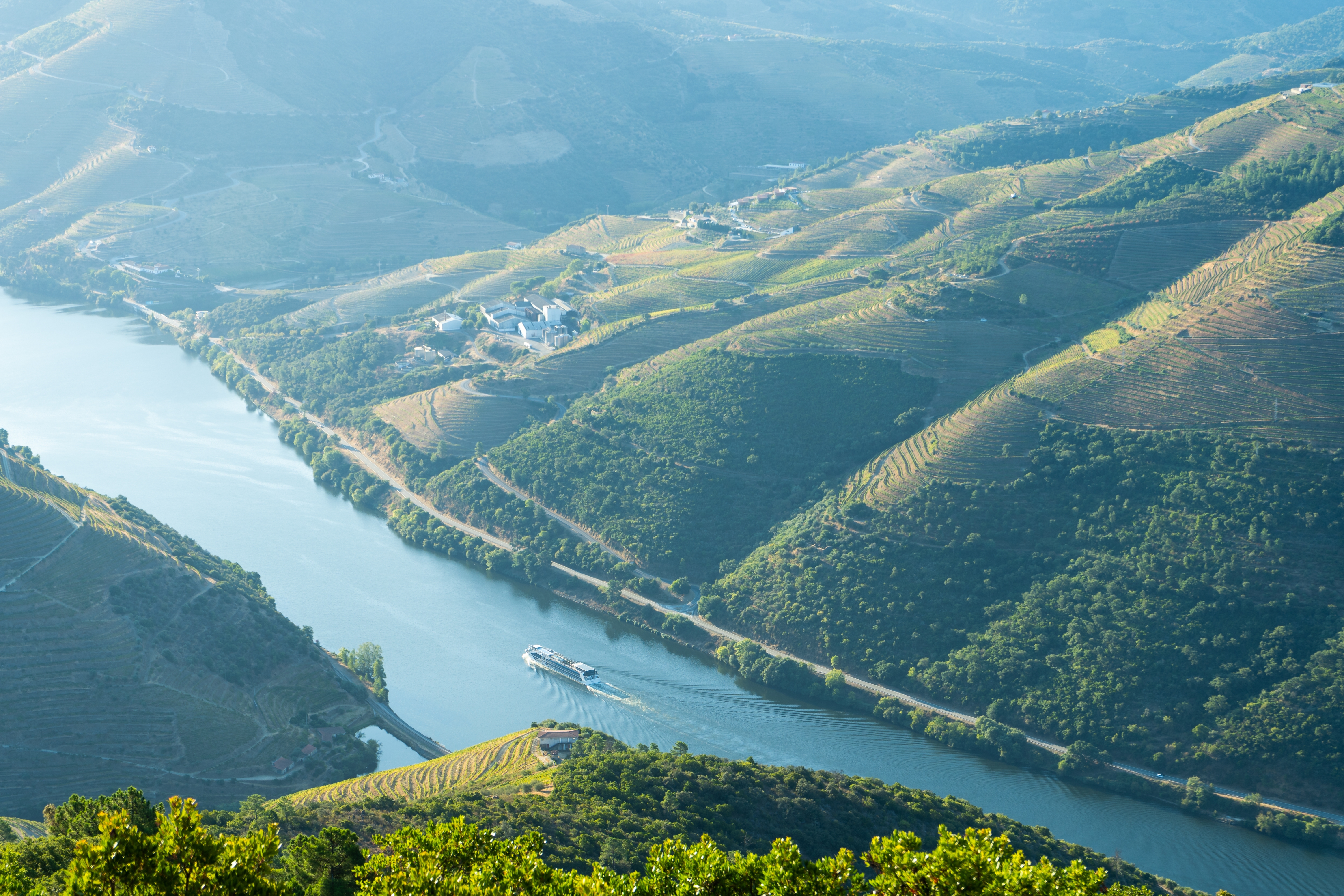 Naturskøn udsigt over Douro-dalen med terrasserede vinmarker, en båd på floden og grønne bjerge i Portugals berømte vindistrikt