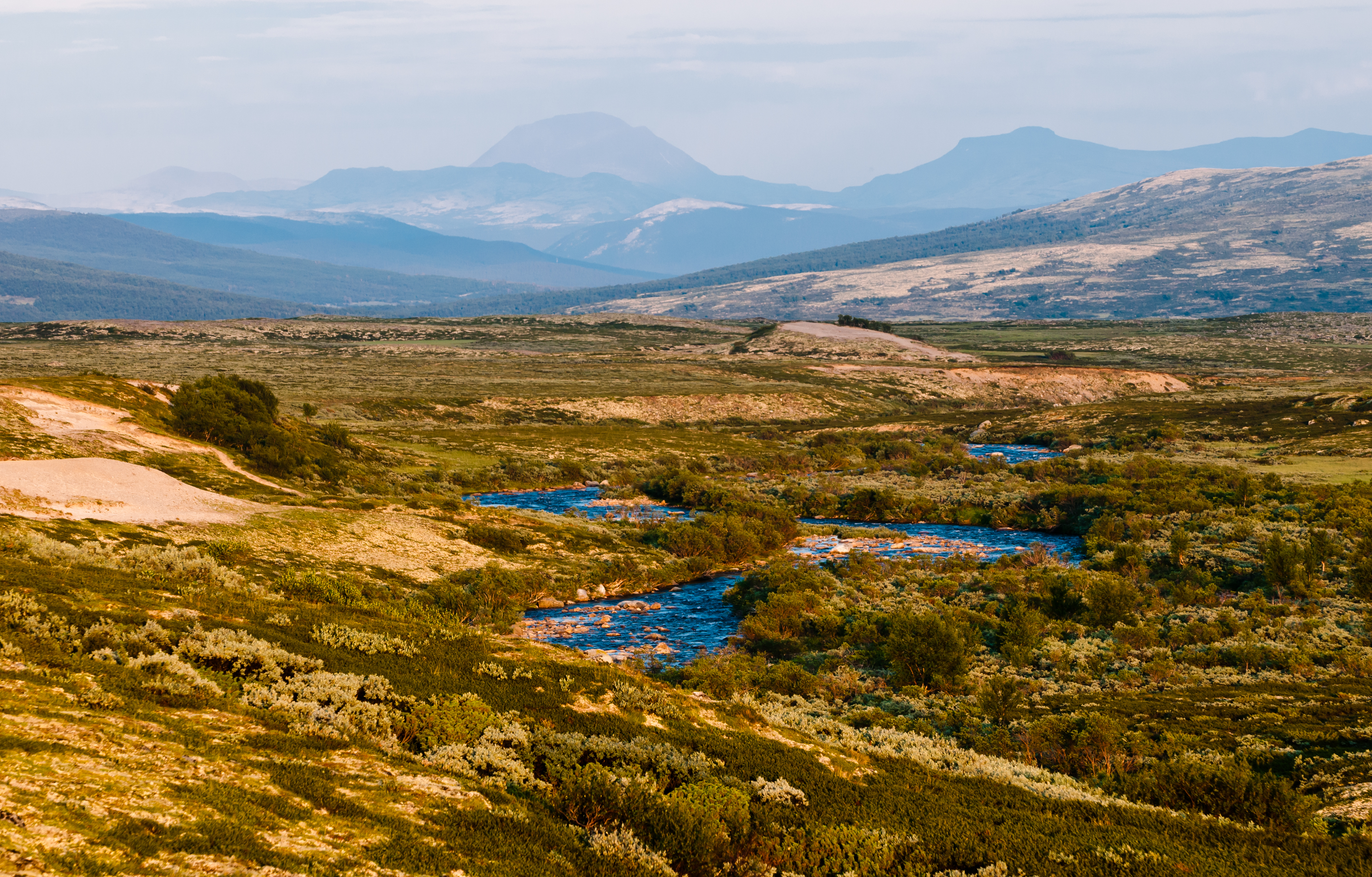 Spektakulær udsigt over Dovrefjell Nationalpark med bjergflod og nordisk vildmark