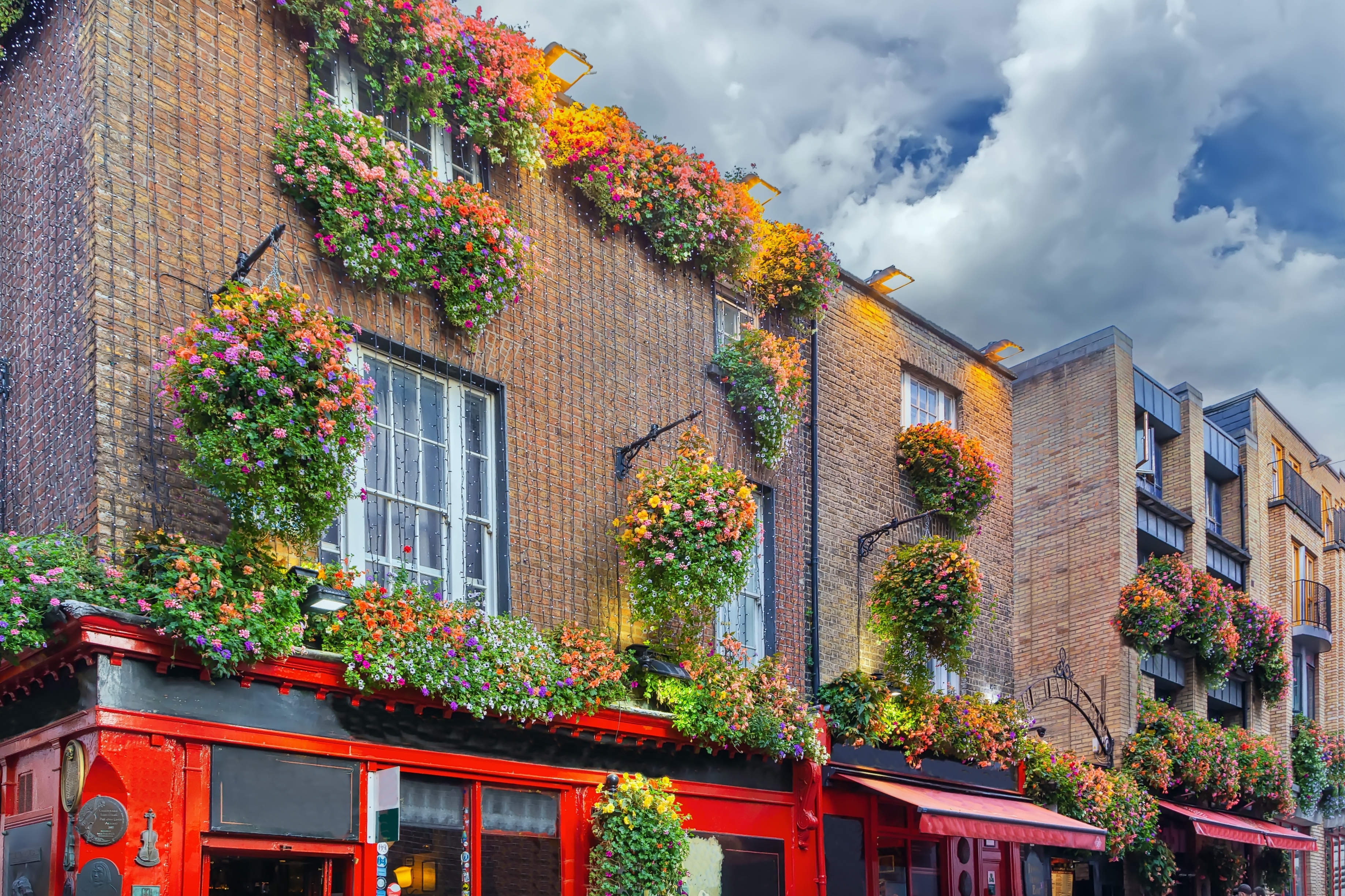 Den berømte Temple Bar-gade i Dublin med farverige bygningsfacader og frodige blomsterarrangementer på de traditionelle irske pubber