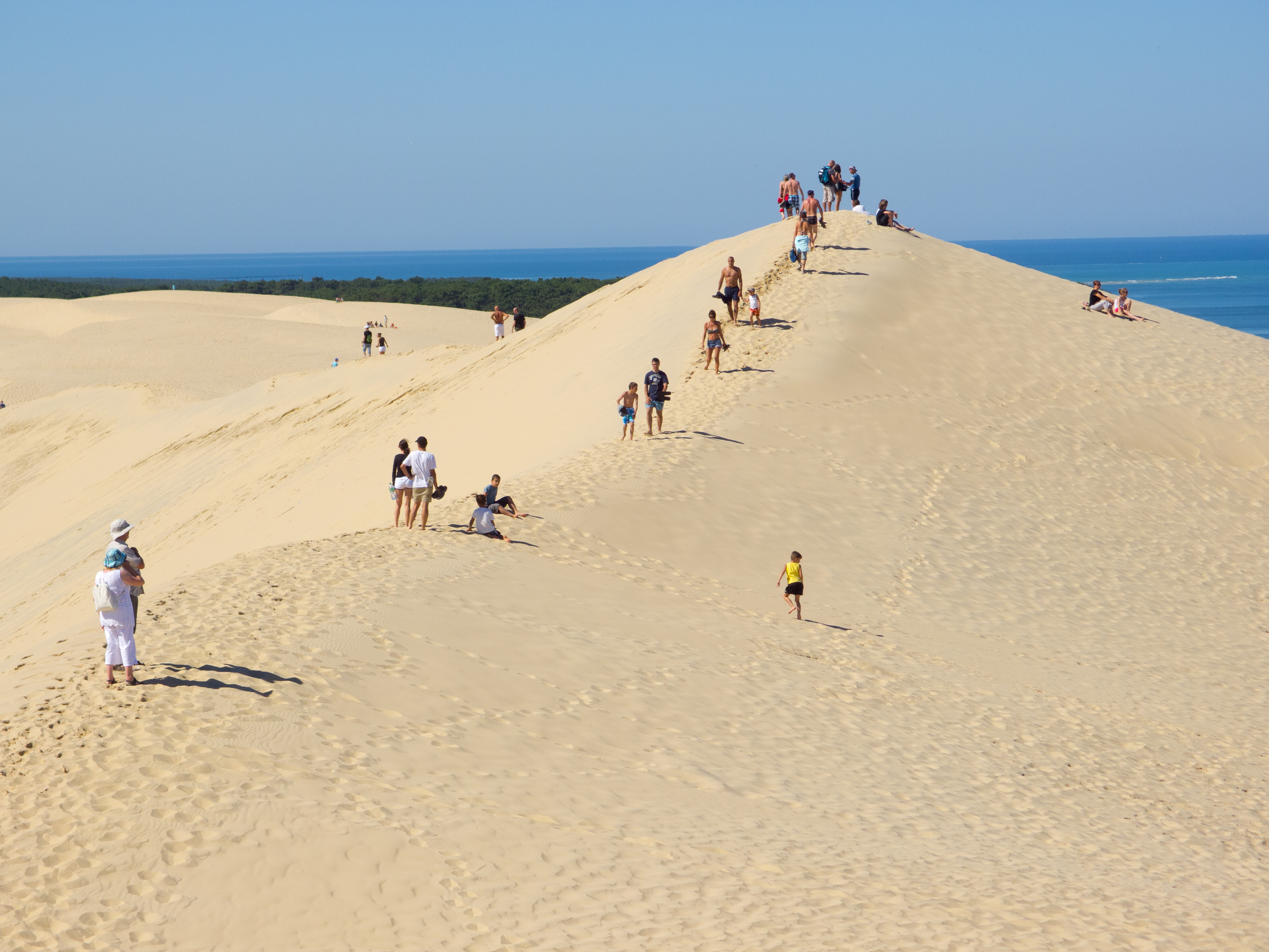 Turister på den imponerende Dune du Pilat i det sydvestlige Frankrig med udsigt over Atlanterhavet og skovlandskab