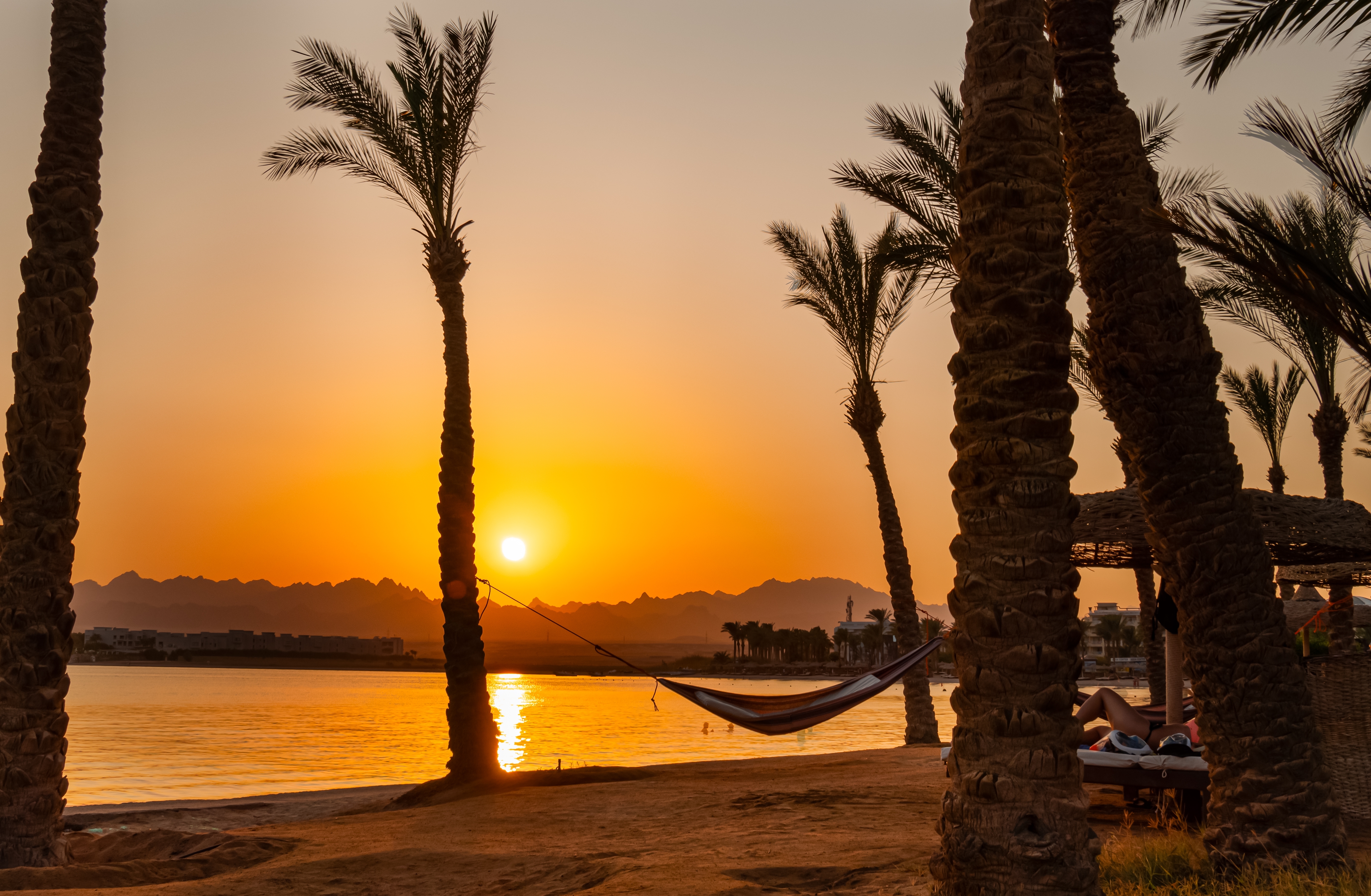 Egyptisk strand med palmer, hængekøje og gylden solnedgang