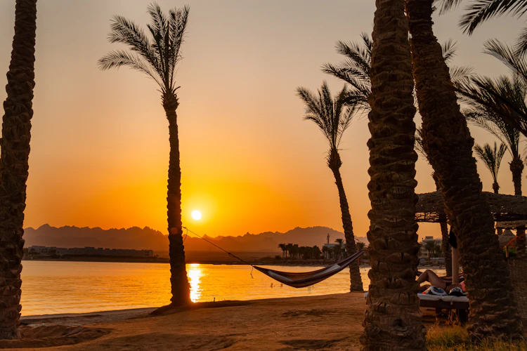 Egyptisk strand med palmer, hængekøje og gylden solnedgang