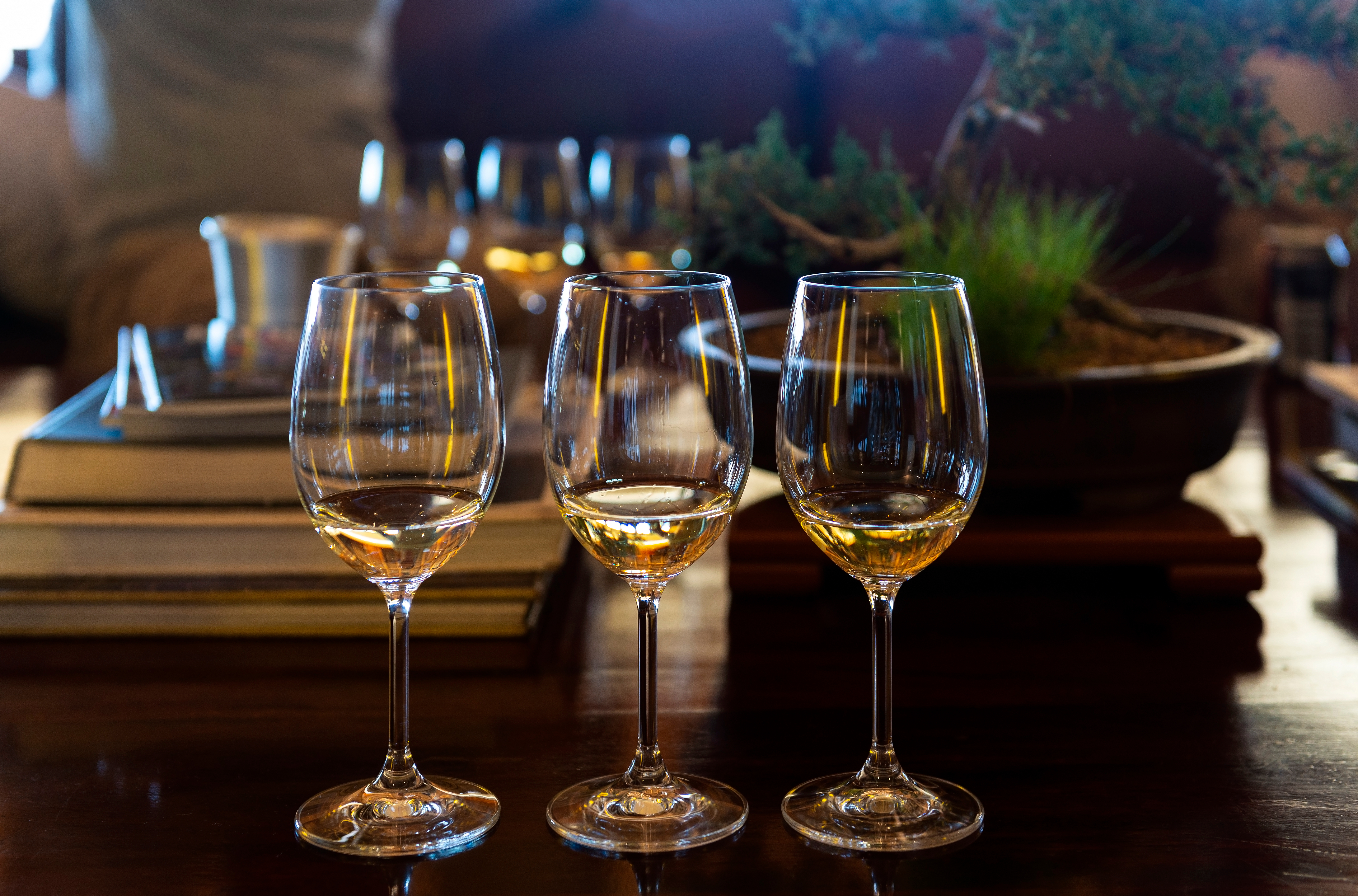 Elegante vinglas med hvidvin klar til restaurant middag