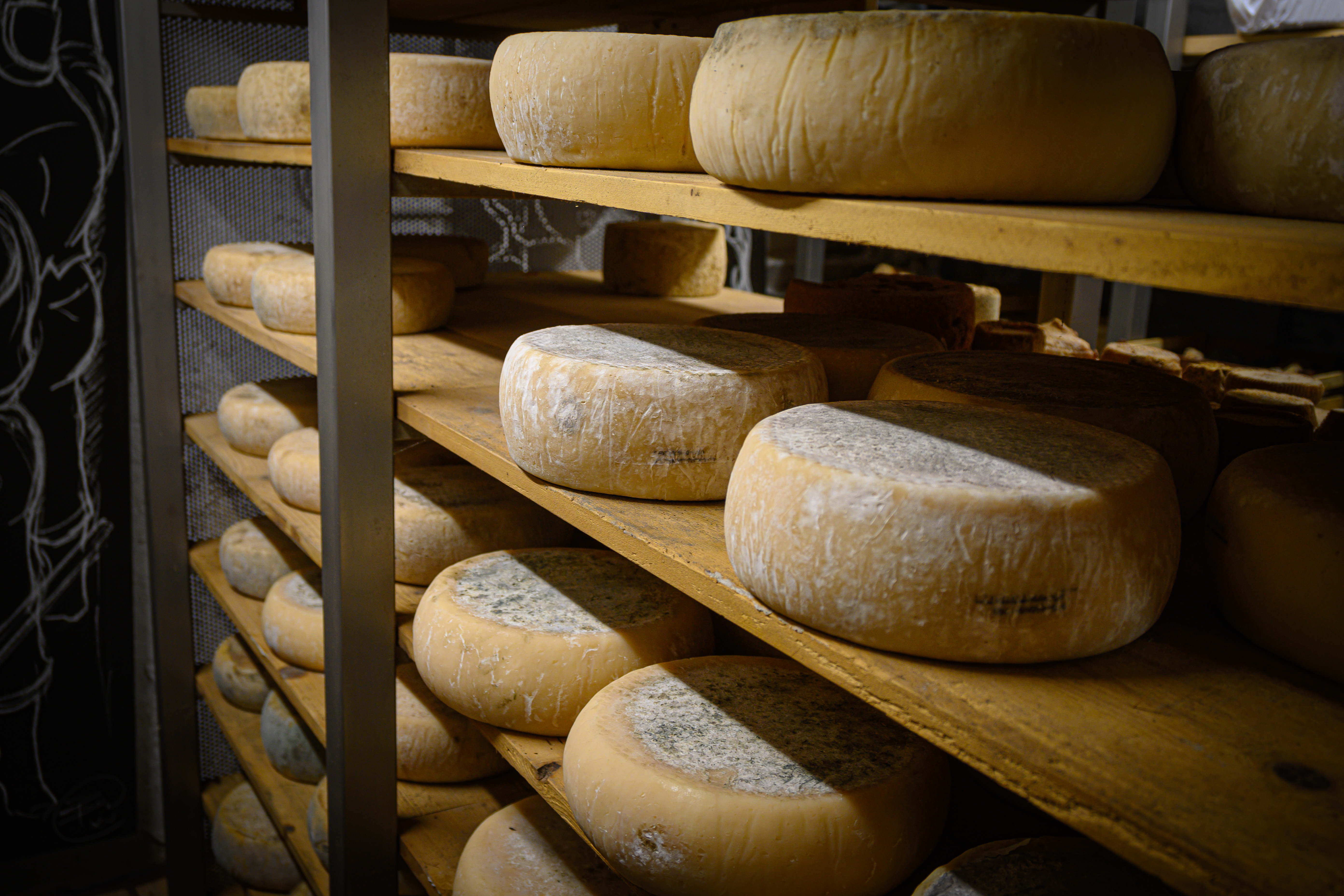 Traditionel ostehus i Emilia-Romagna hvor parmesan modner på klassiske træhylder