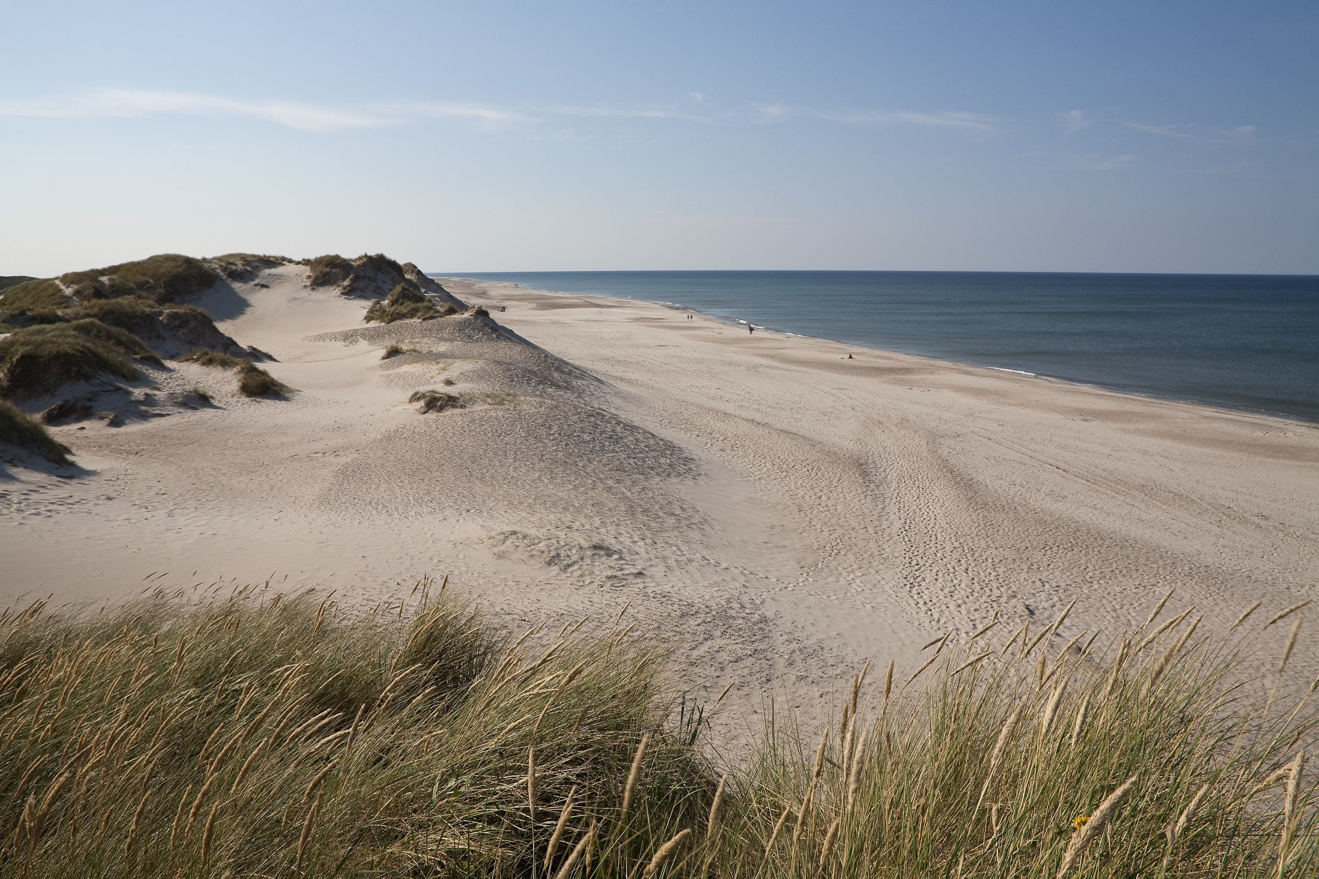 Endelige sandklitter med hvidt sand og klitgræs i Vestjylland