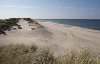 Endelige sandklitter med hvidt sand og klitgræs i Vestjylland