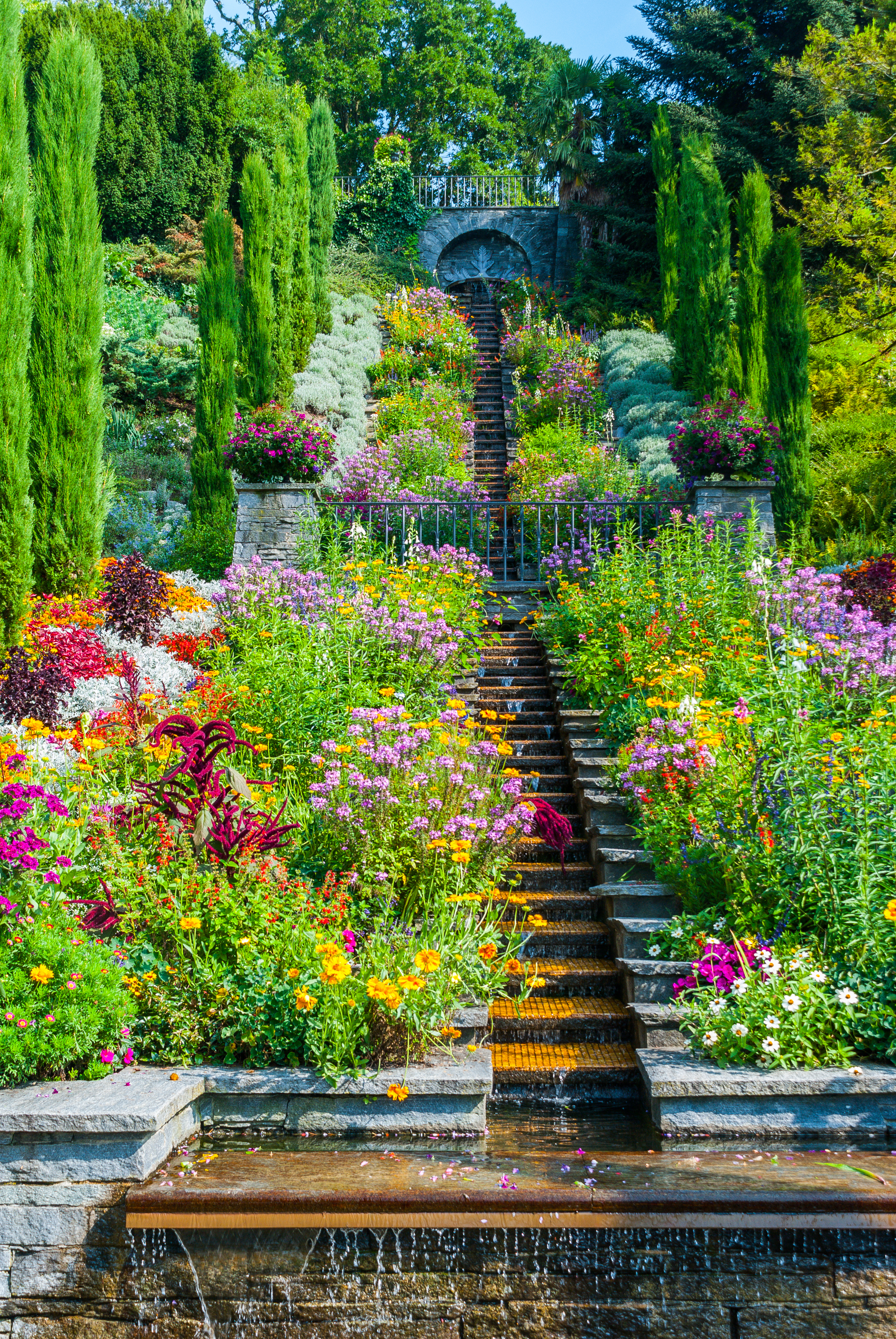 Farverig blomsterhave med stentrappe og vandbassin i sommer