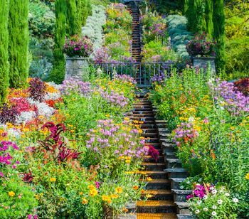 Farverig blomsterhave med stentrappe og vandbassin i sommer