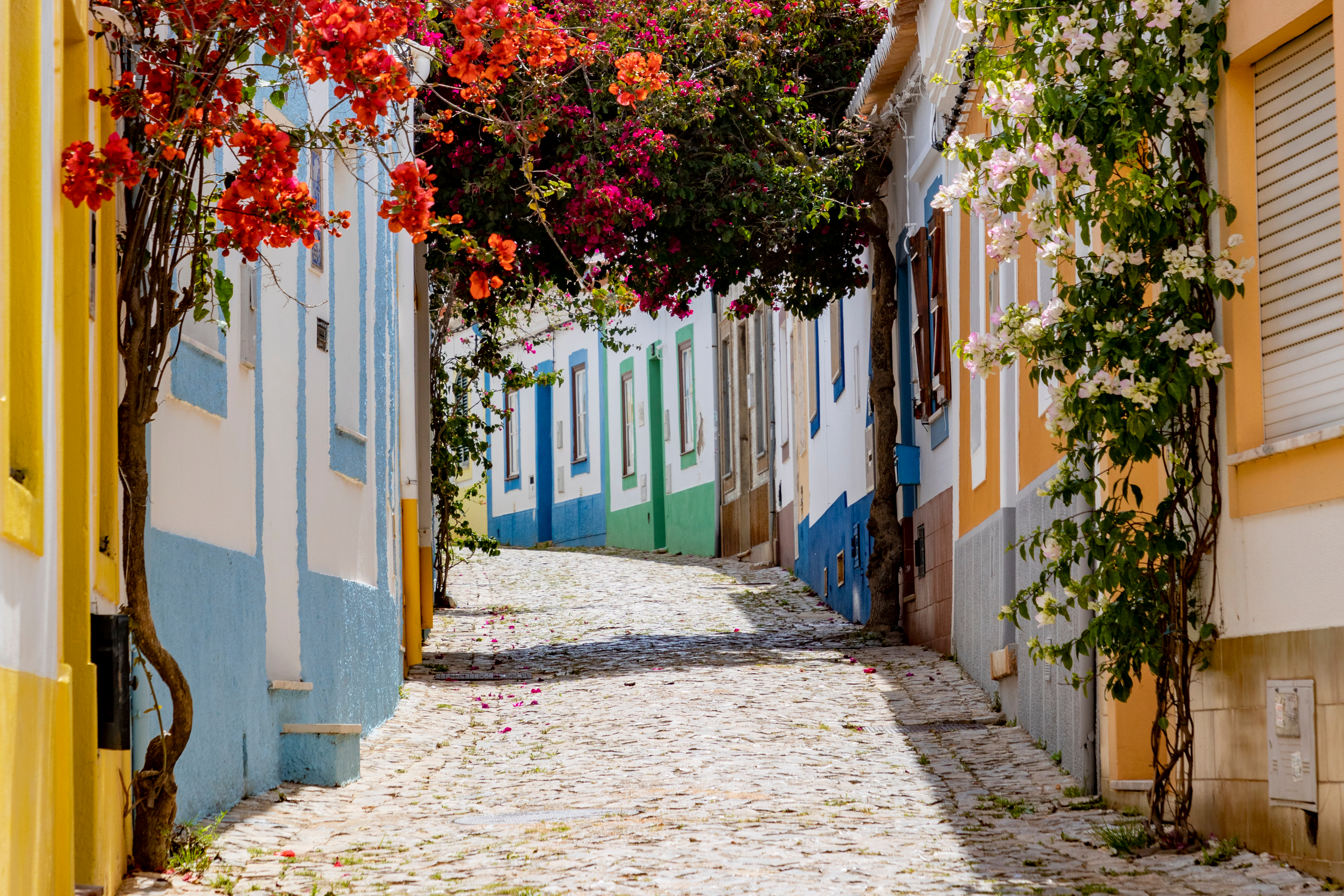 Stemningsfuld smal brostensbelagt gade i den pittoreske landsby Ferragudo i Algarve, Portugal, med traditionelle hvidkalkede bygninger og farverige blomster, der viser den autentiske portugisiske landsbycharme