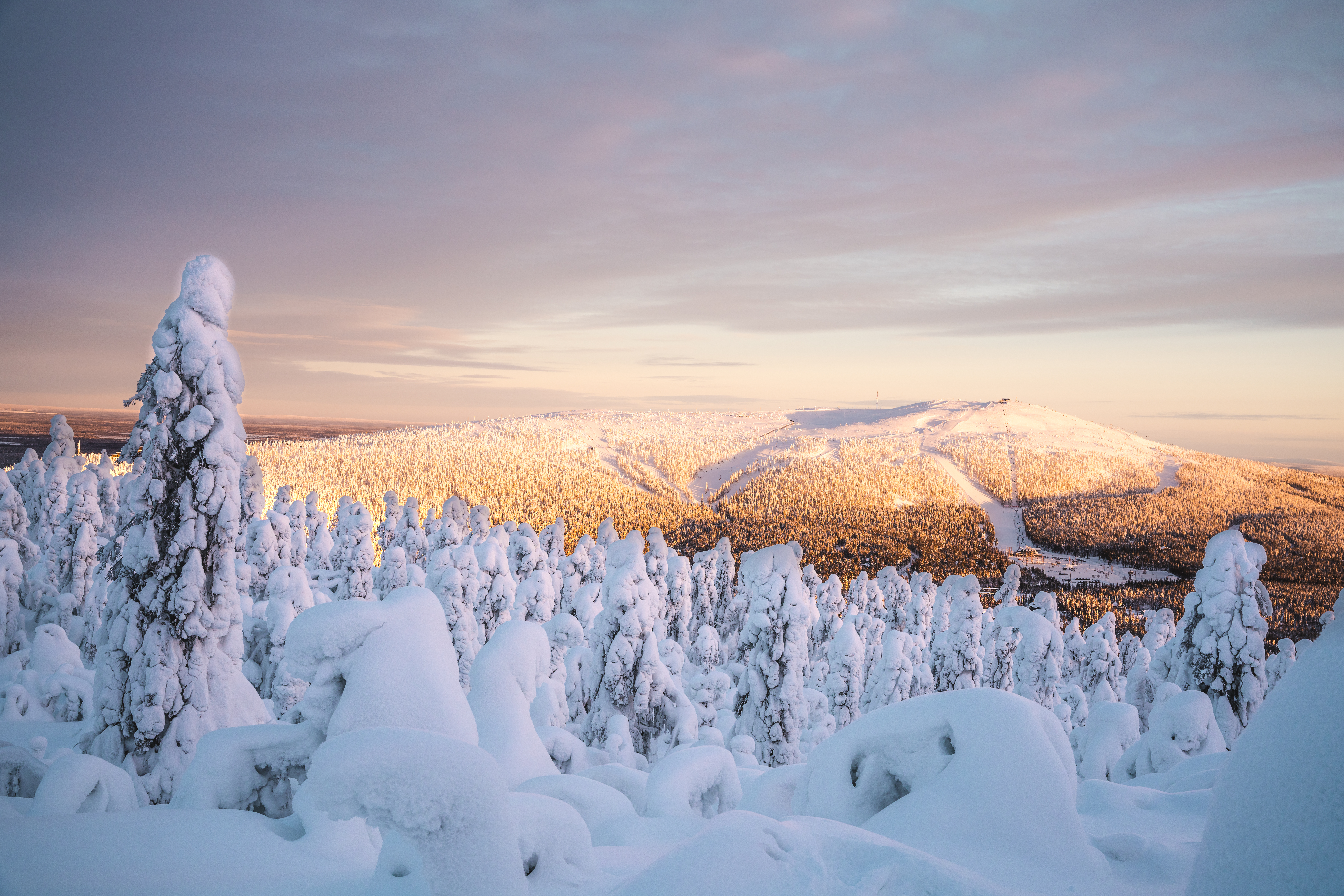 Spektakulær vinterscene fra Finsk Lapland med sneklædte træer og bjerge